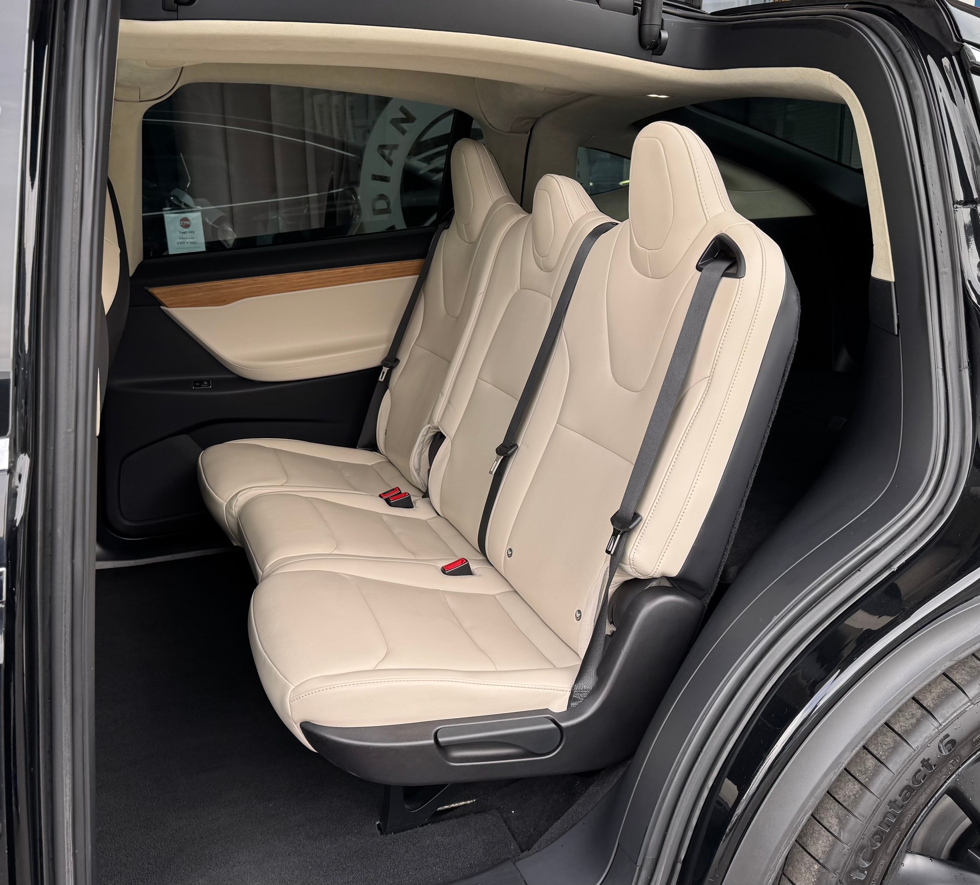 TESLA Model X 100 D-image-12
