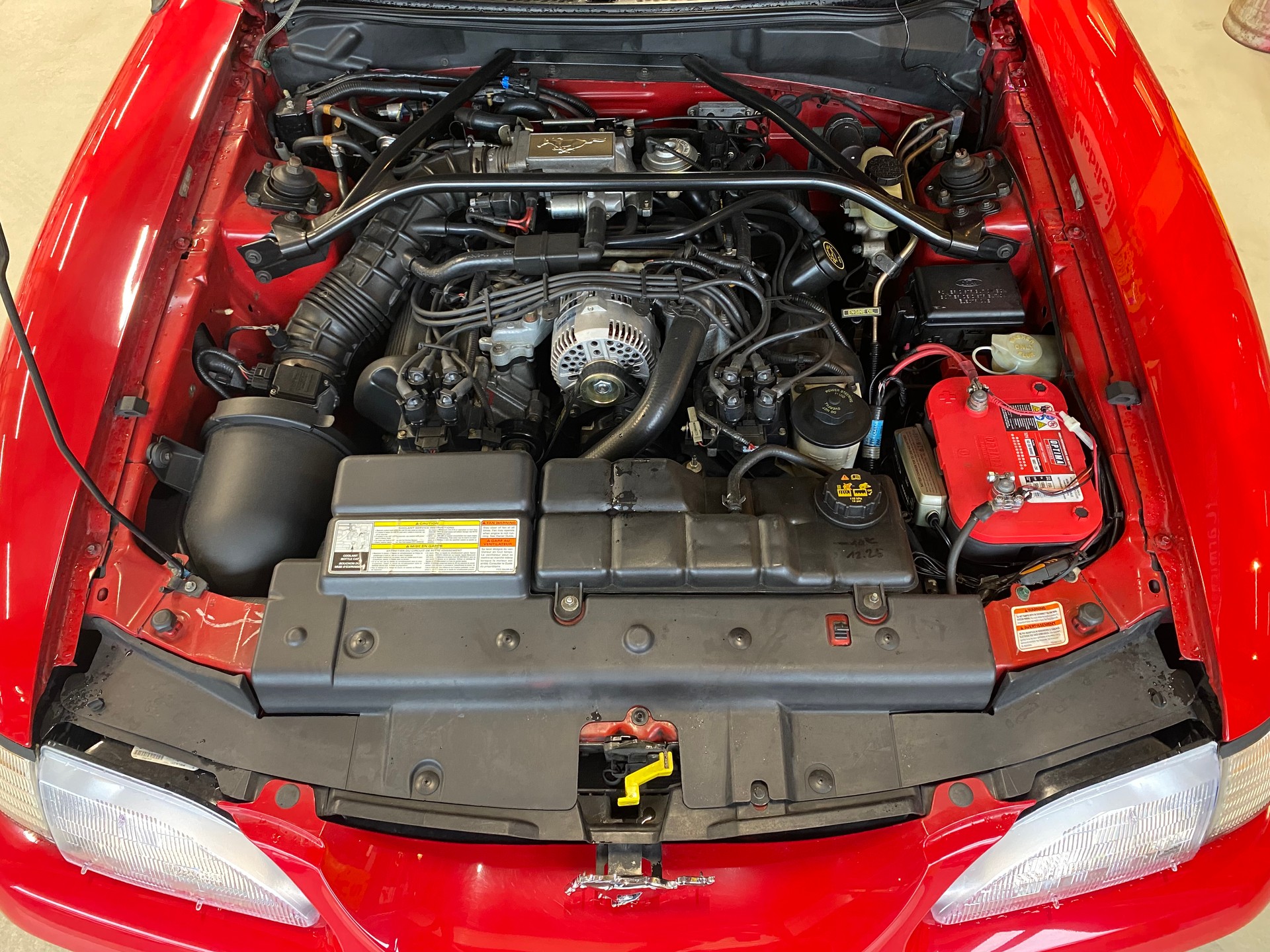 FORD MUSTANG-image-9