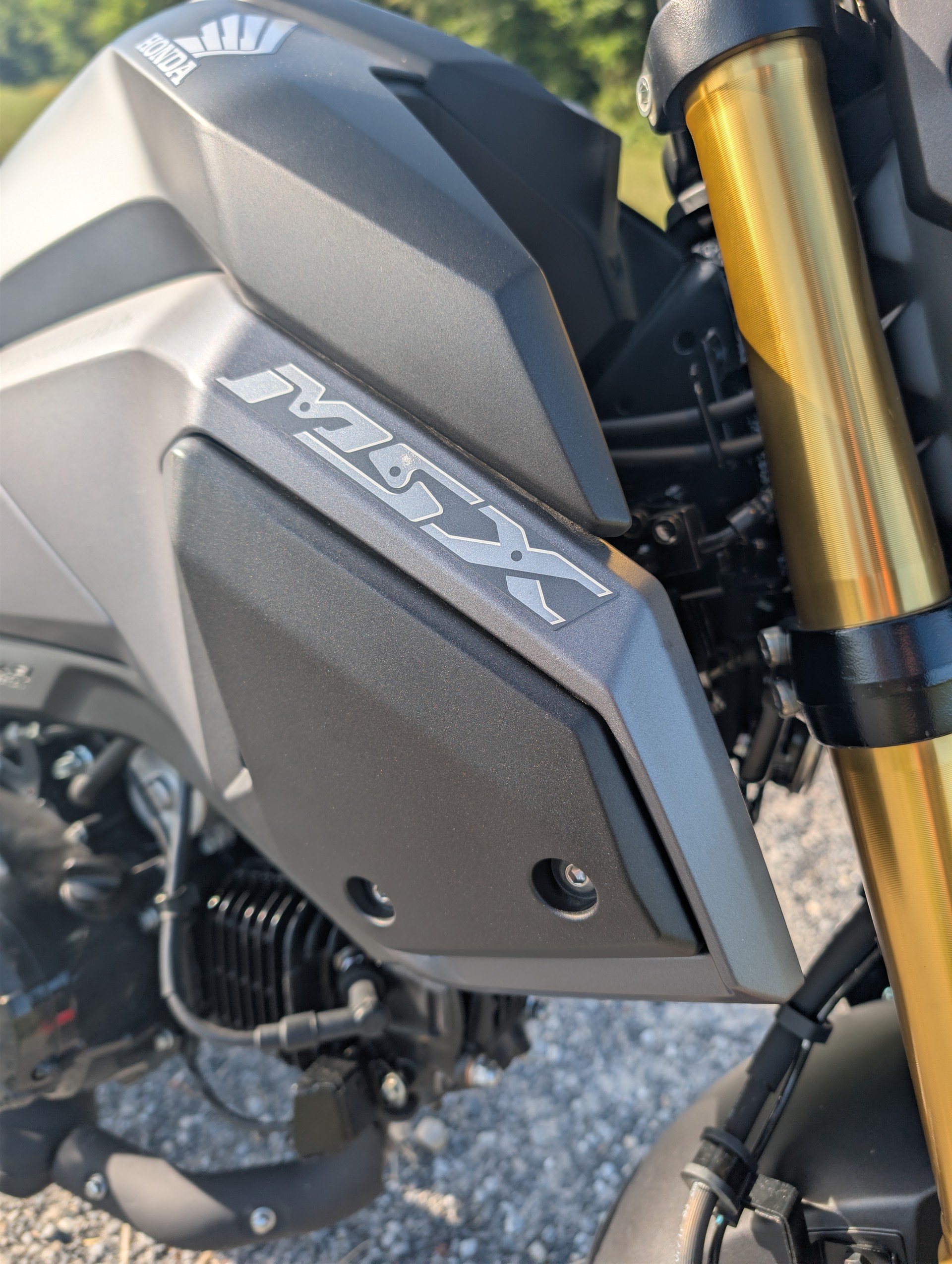 HONDA MSX 125 ABS-image-9