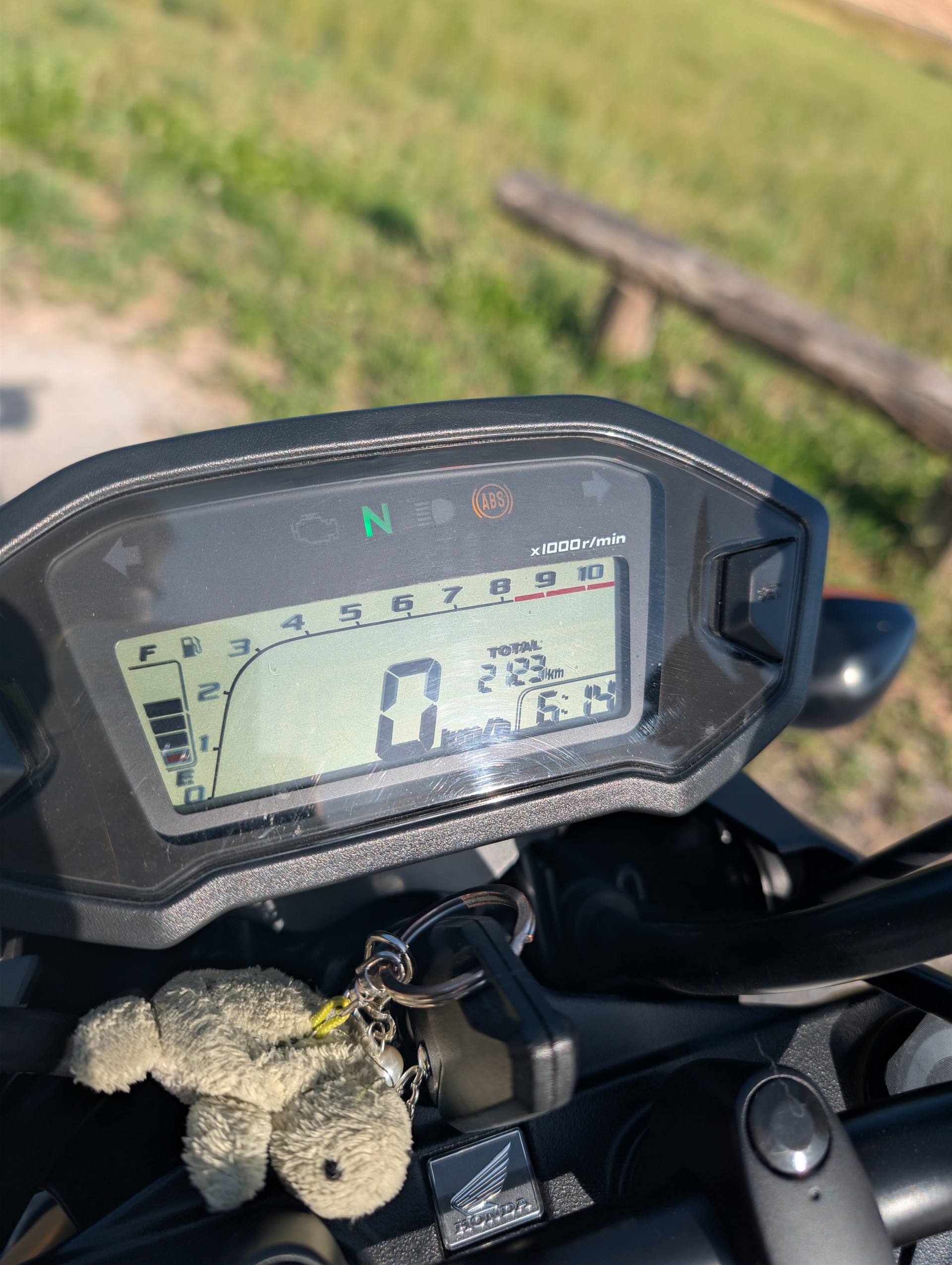 HONDA MSX 125 ABS-image-7