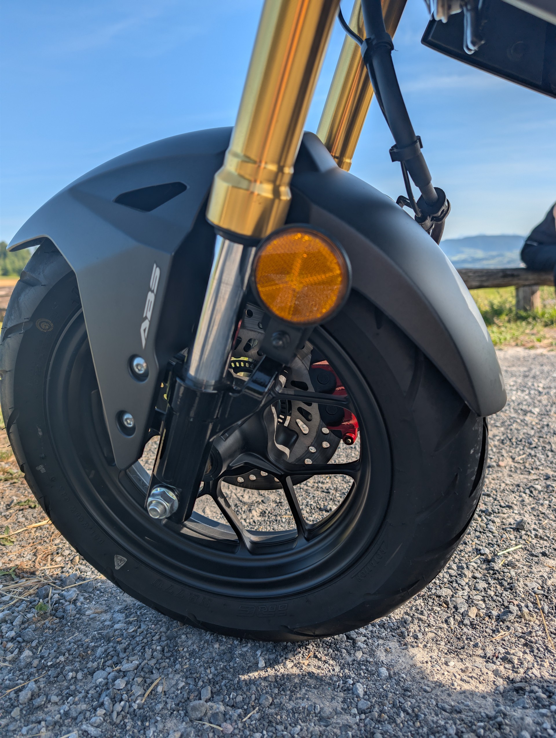 HONDA MSX 125 ABS-image-6