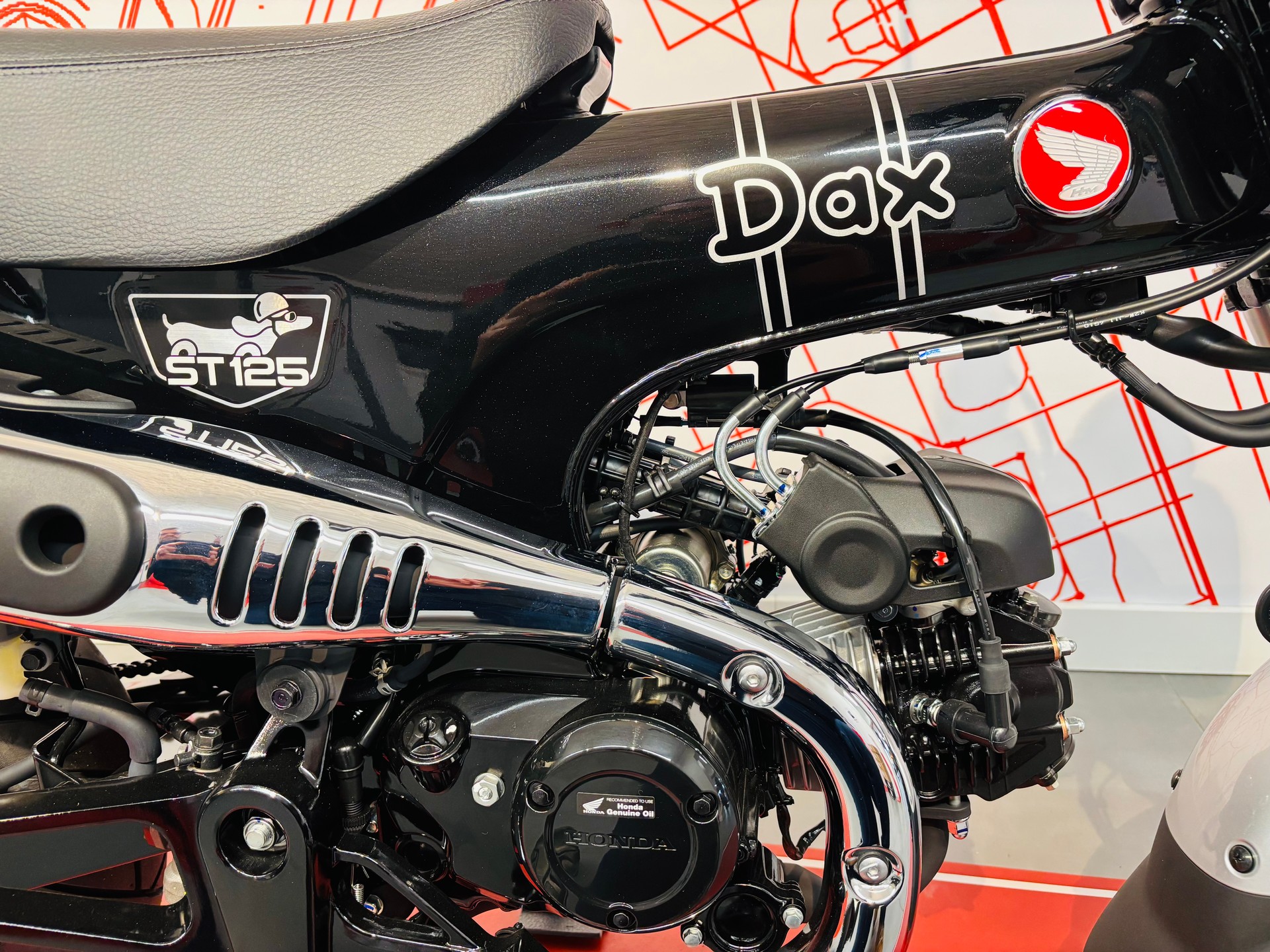 HONDA DAX-image-5