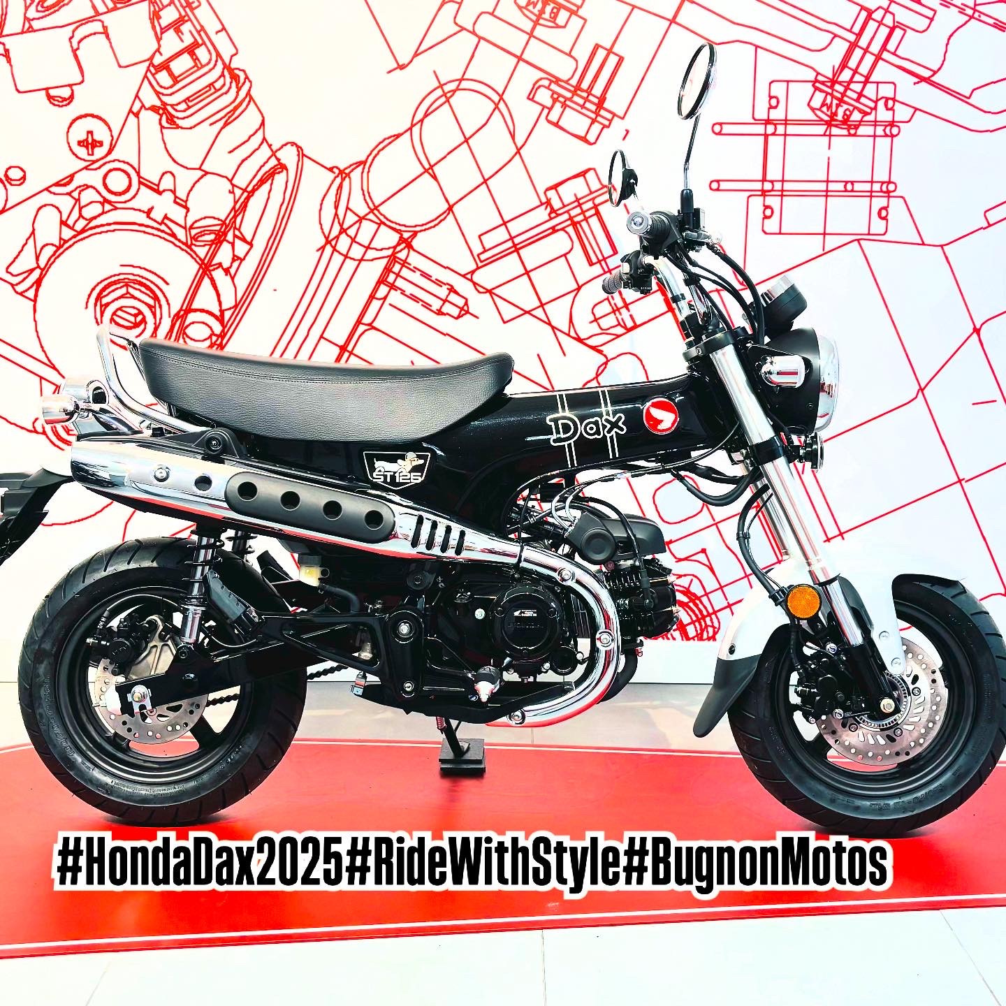 HONDA DAX-image-0