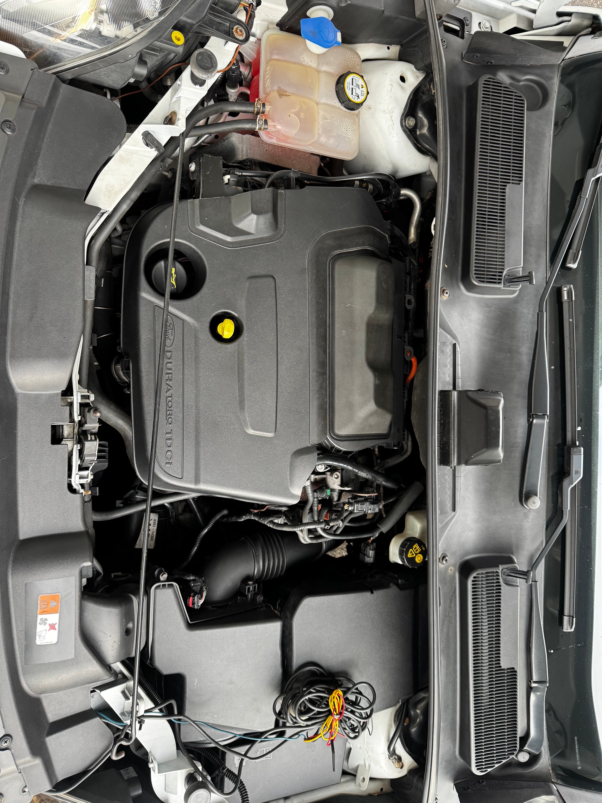 FORD Kuga 2.0 TDCi Carving 4WD PowerShift-image-13
