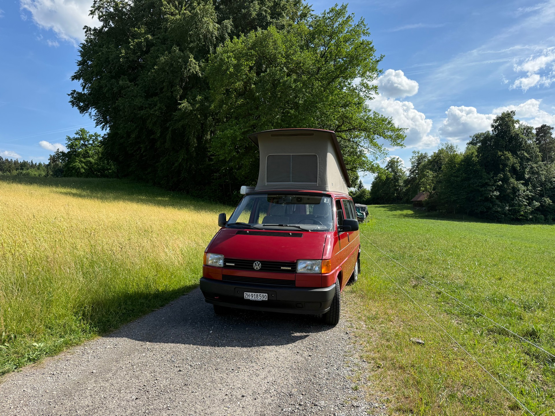 VW T4-image-1