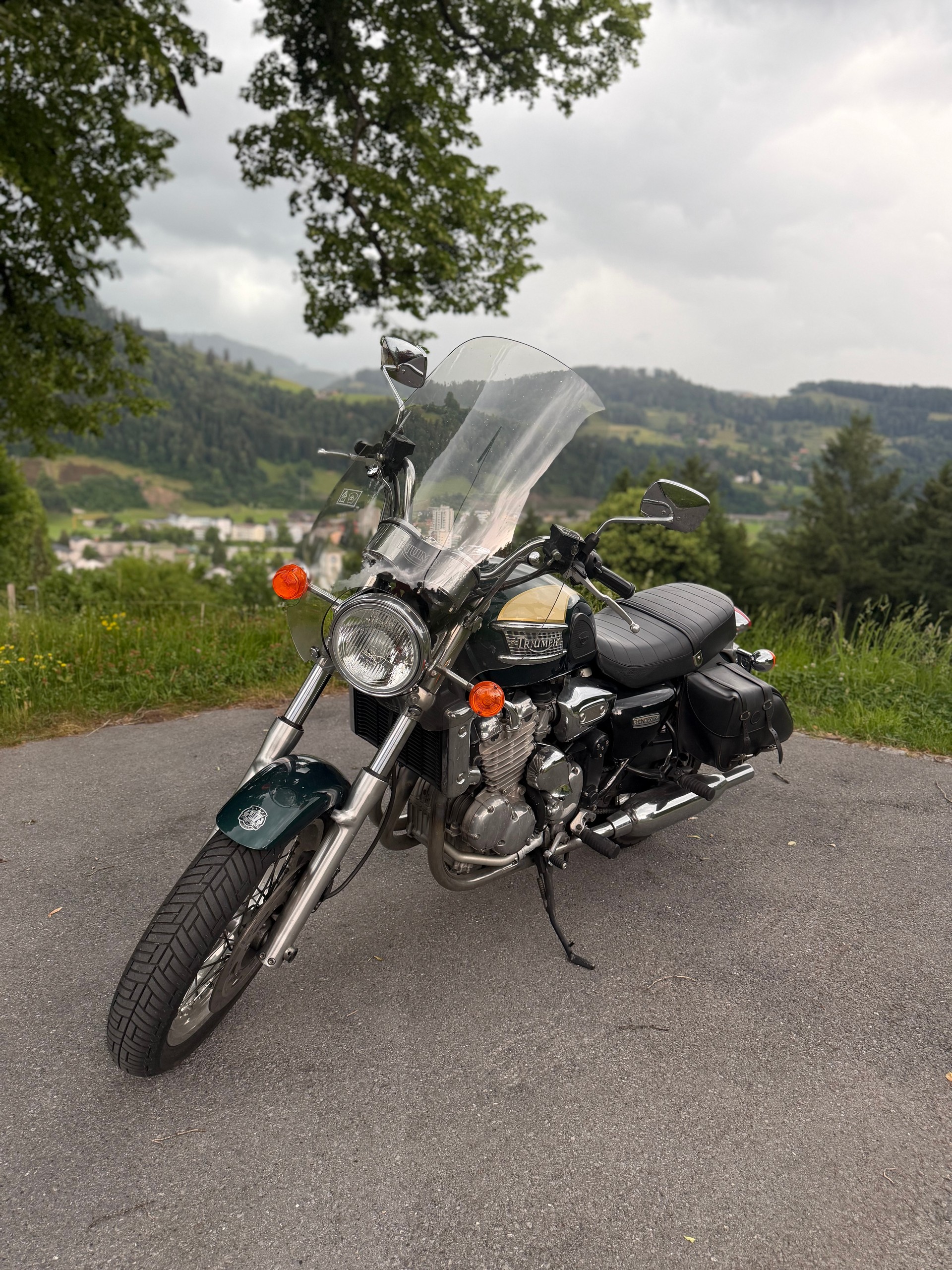TRIUMPH Thunderbird 900-image-6