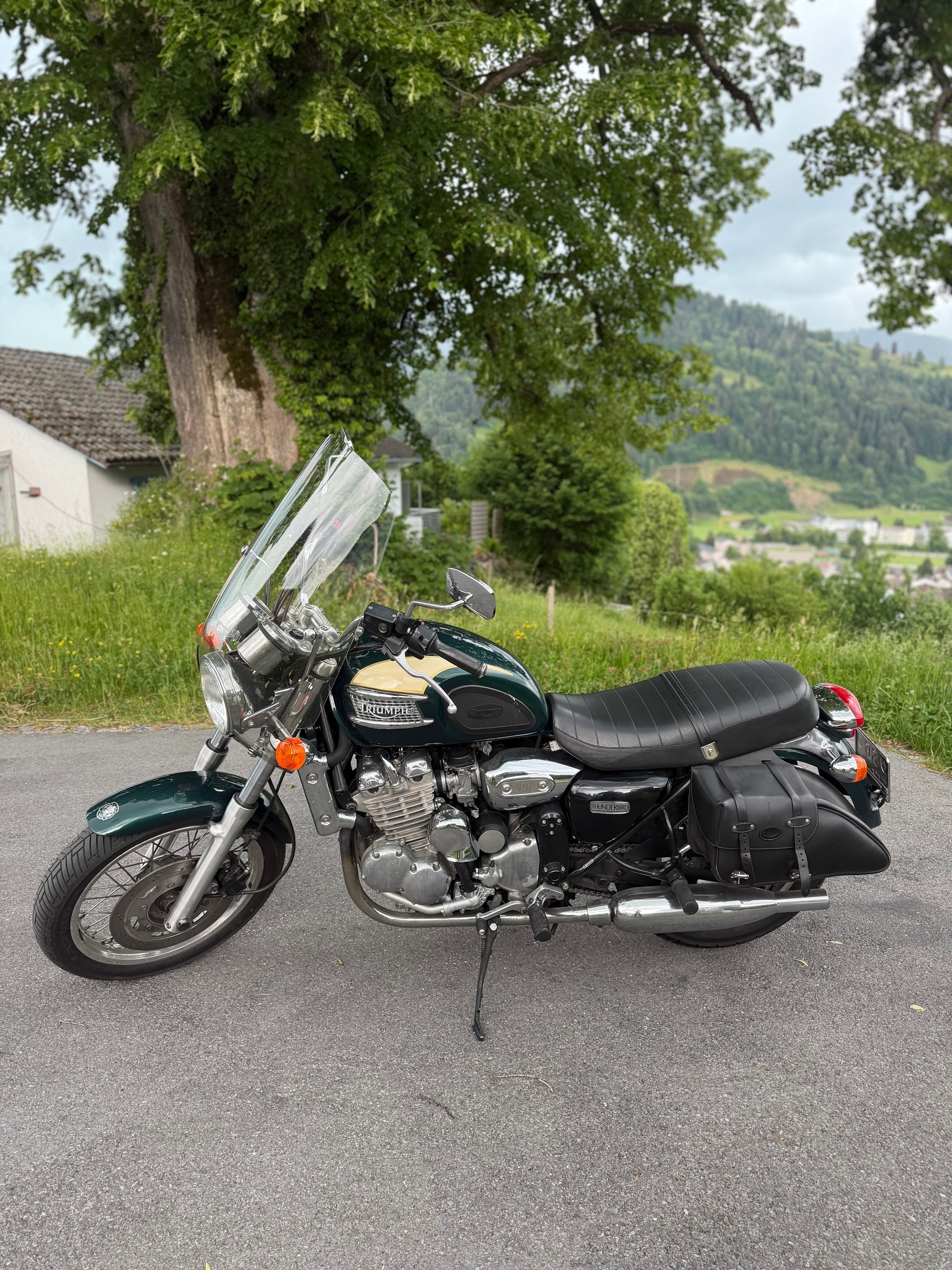 TRIUMPH Thunderbird 900