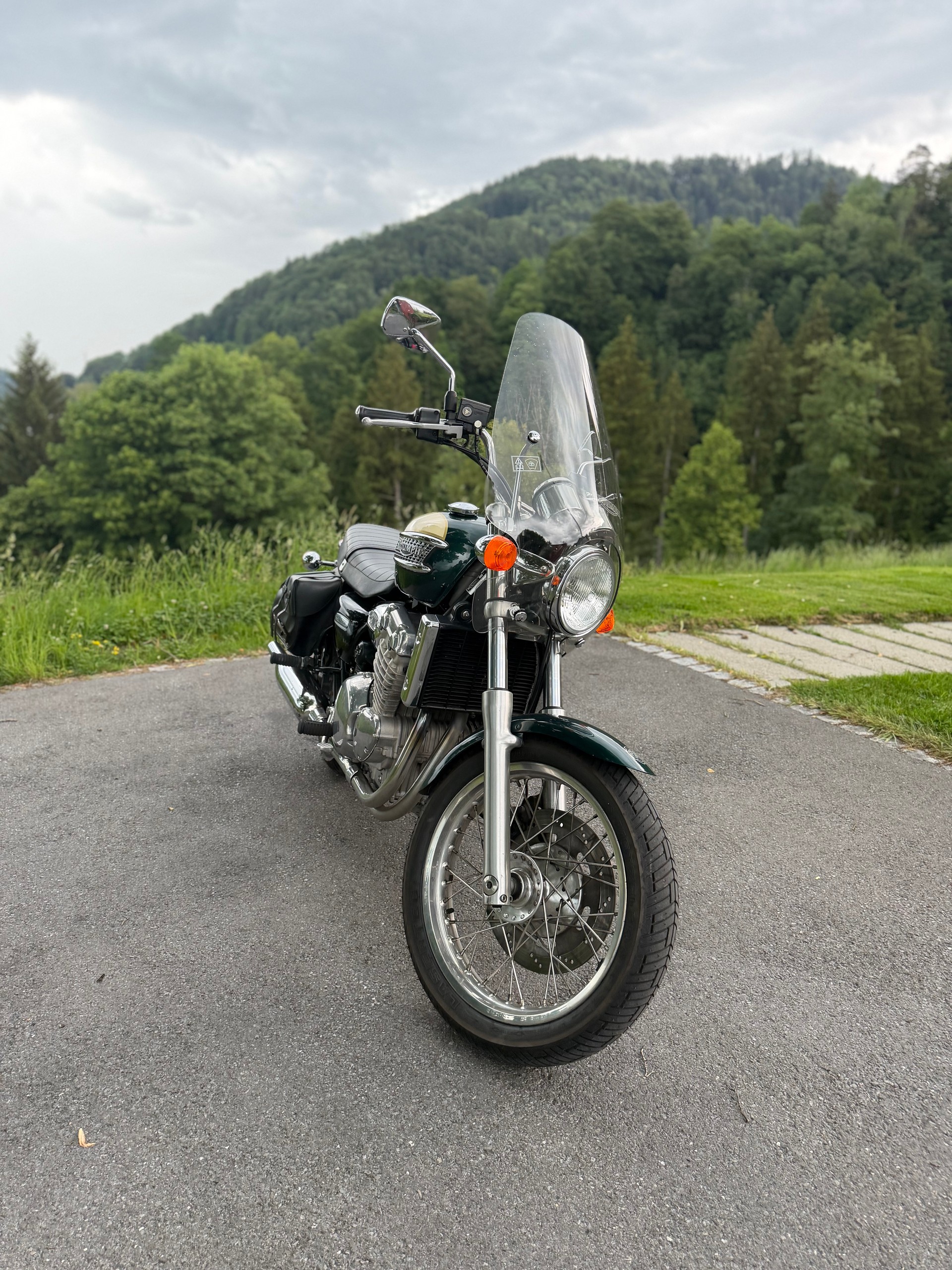 TRIUMPH Thunderbird 900-image-4
