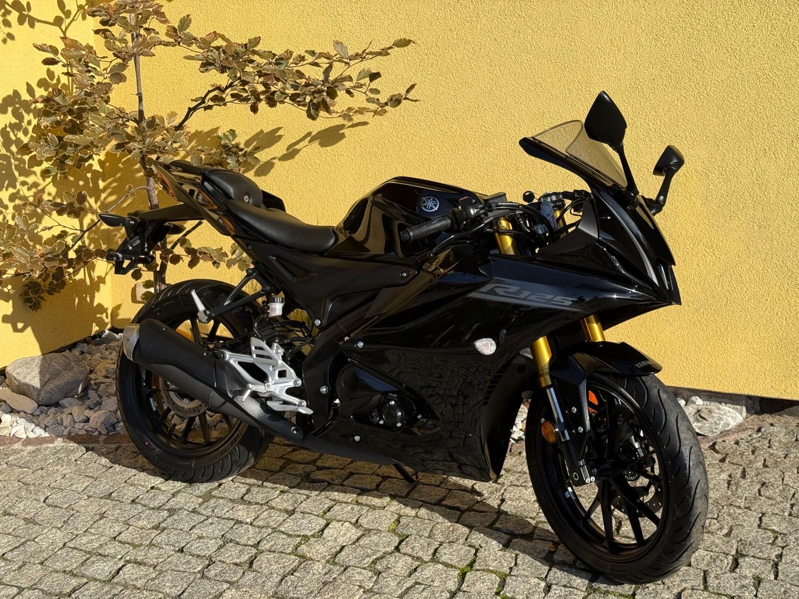 YAMAHA YZF-R 125 ABS-image-0