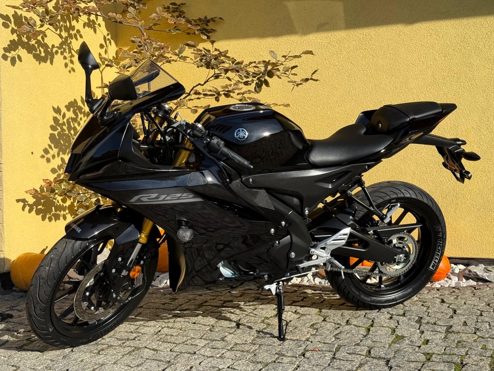 YAMAHA YZF-R 125 ABS-image-1