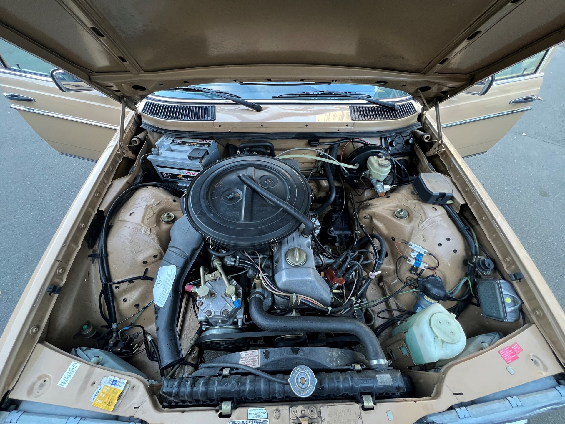 MERCEDES-BENZ 250-image-4
