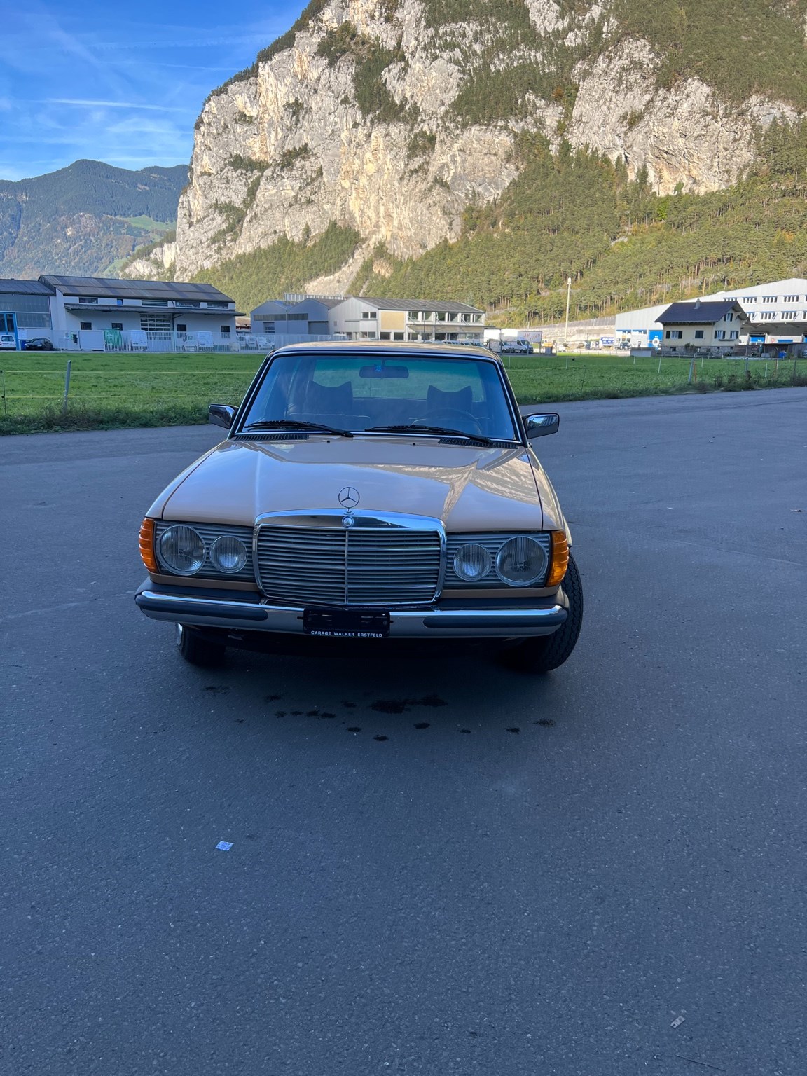 MERCEDES-BENZ 250-image-6