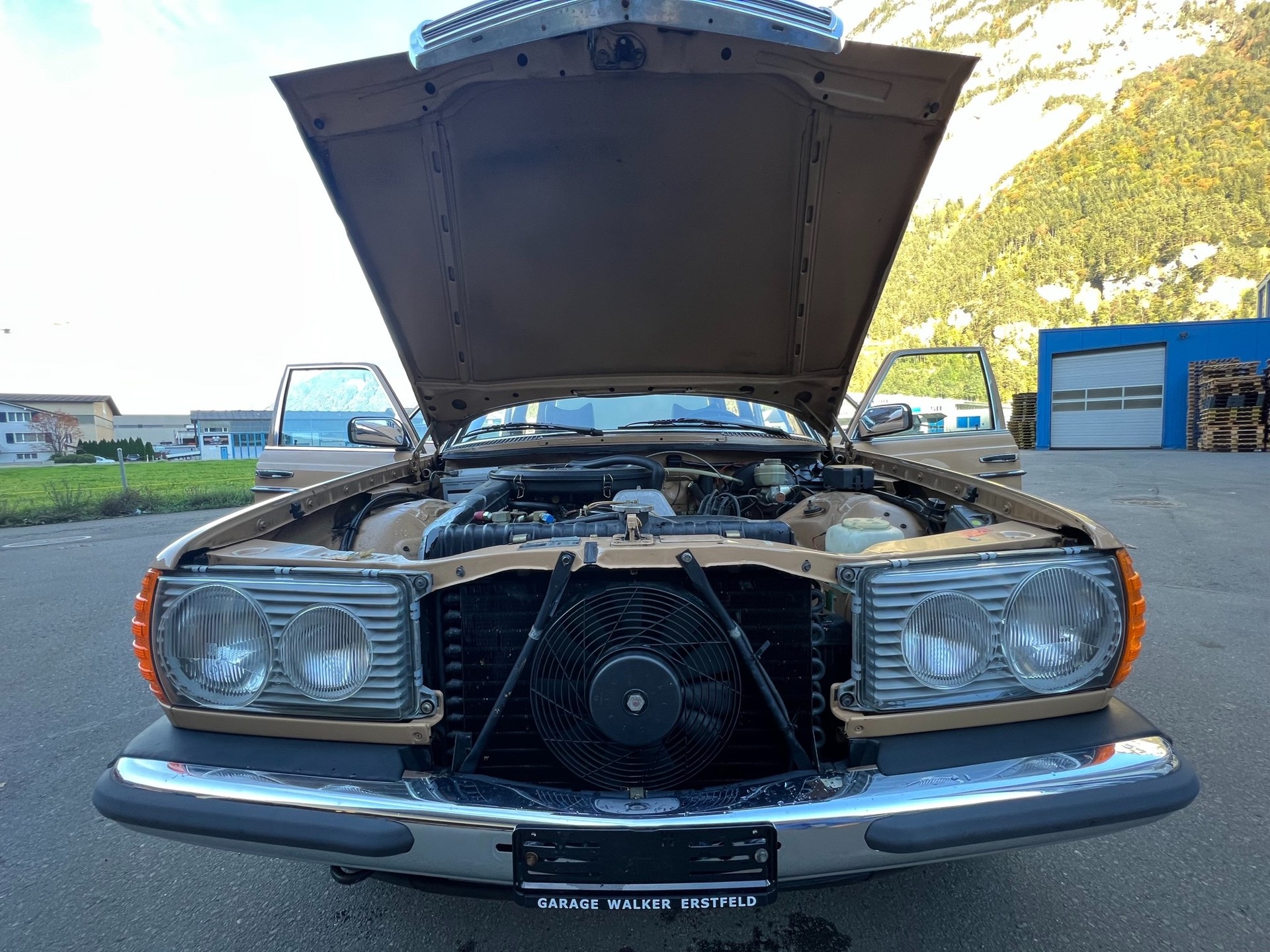 MERCEDES-BENZ 250-image-7