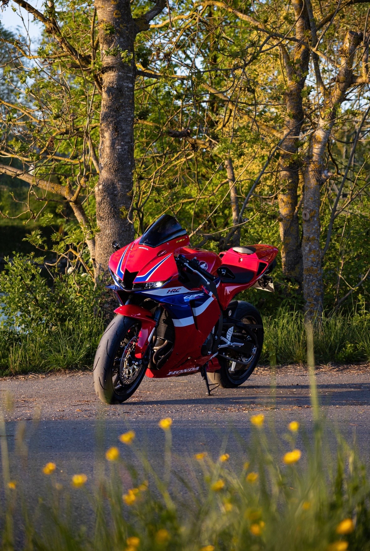 HONDA CBR 600 RR-image-7