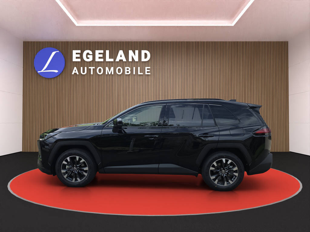 TOYOTA RAV-4 2.5 HEV Trend 4WD-image-6