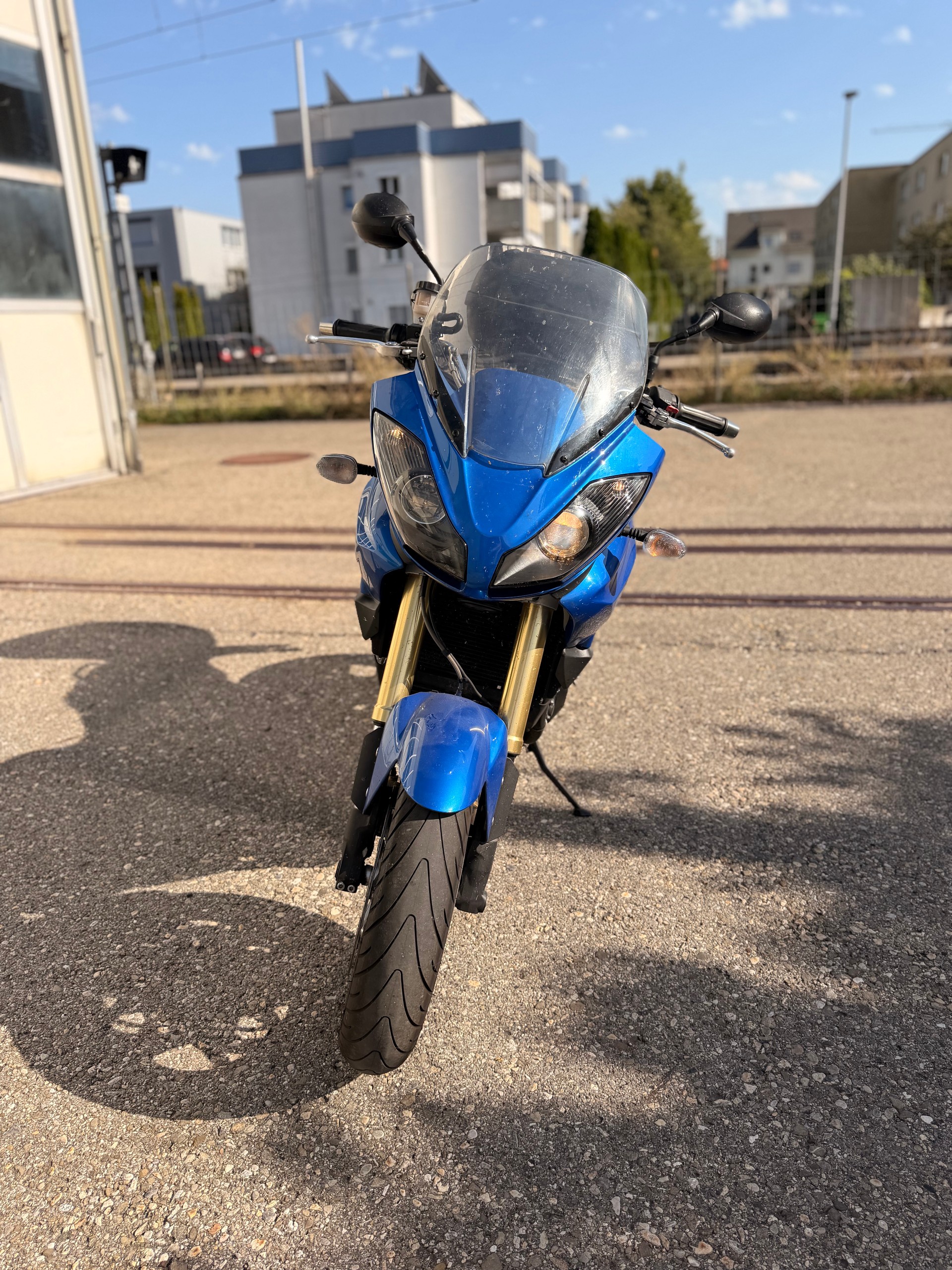 TRIUMPH Tiger 1050 ABS SE-image-2