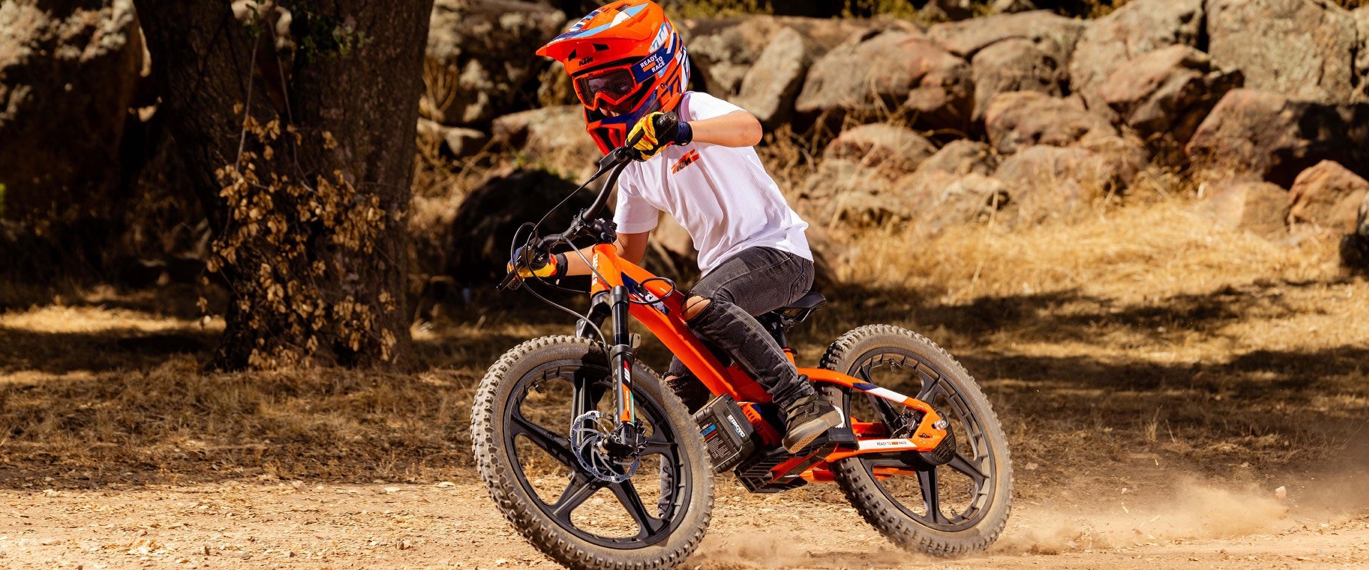 KTM SX-E 1.20-image-6