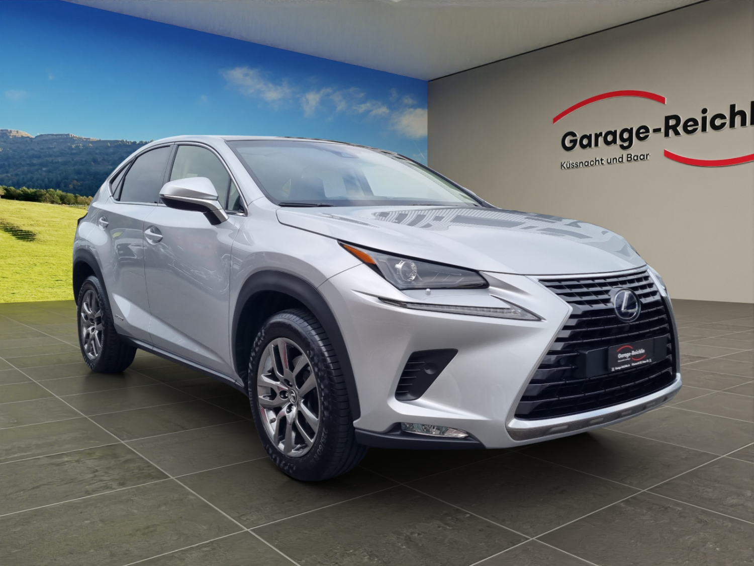 LEXUS NX 300h comfort AWD-image-6