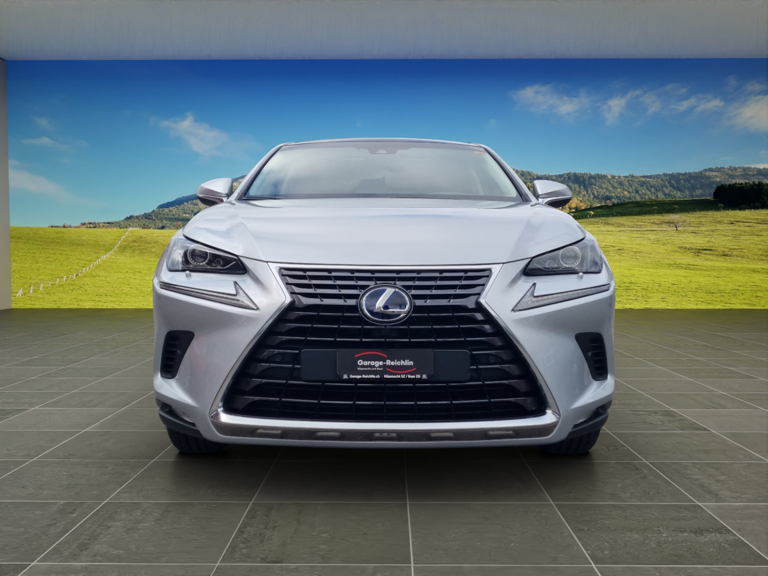 LEXUS NX 300h comfort AWD-image-7