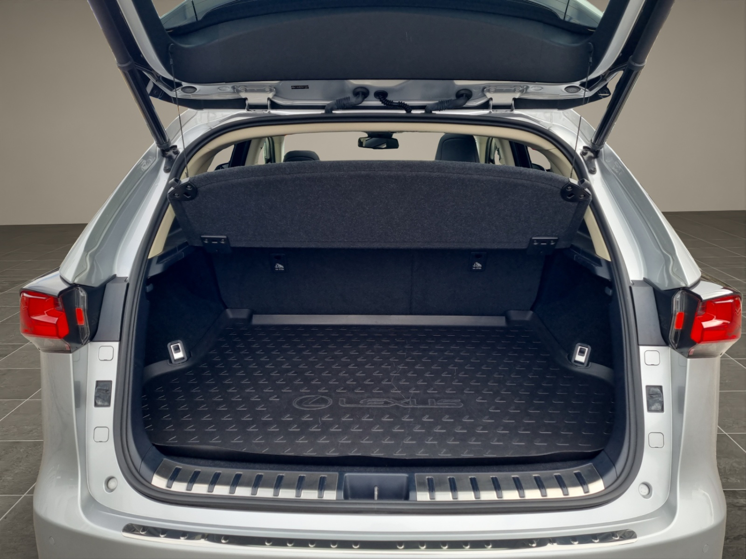 LEXUS NX 300h comfort AWD-image-14