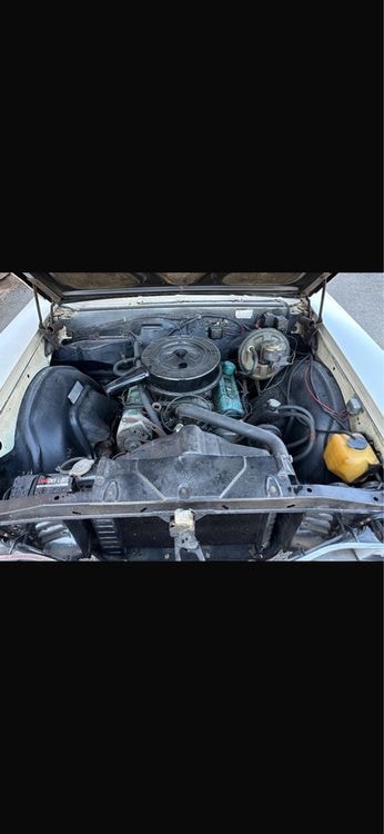BUICK SKYLARK-image-4