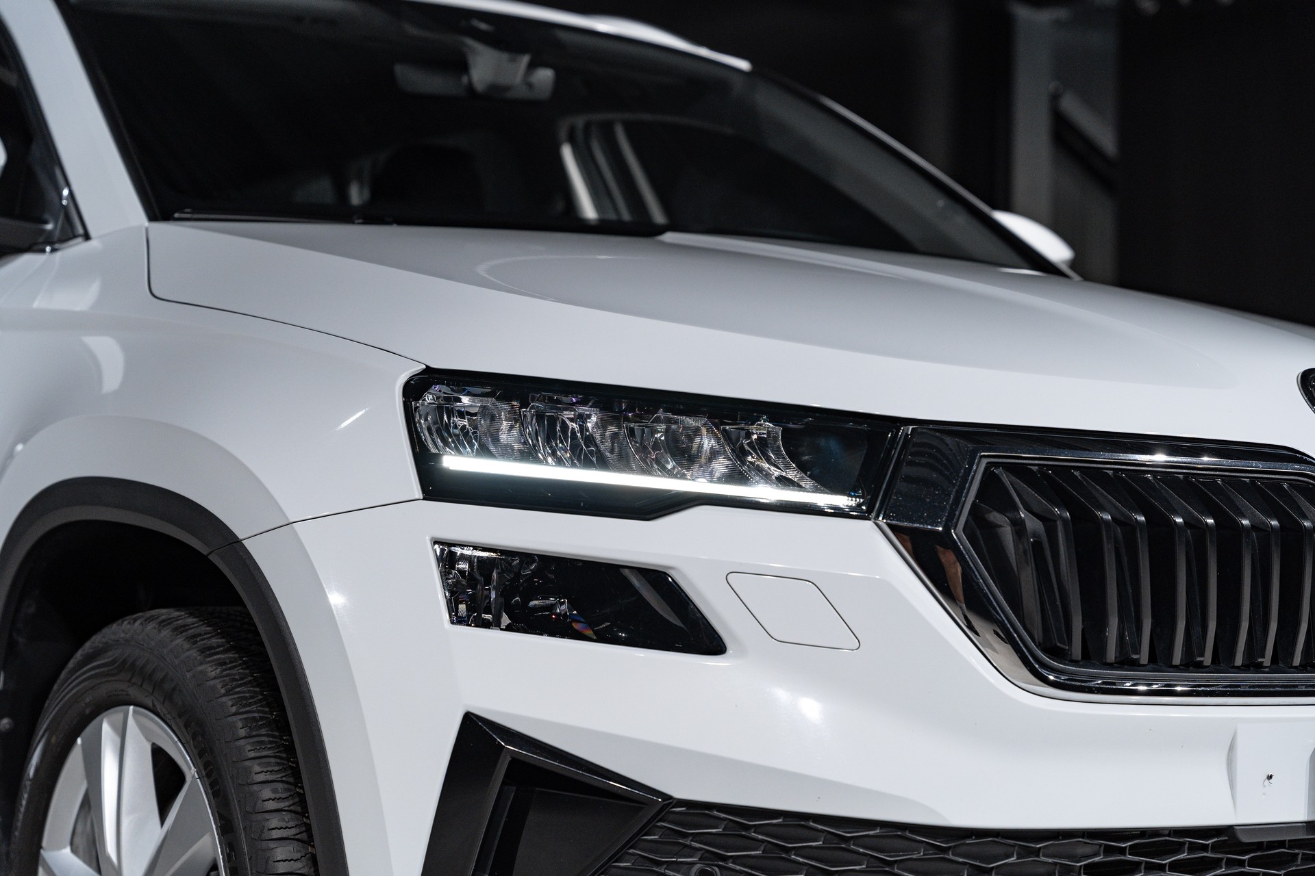 SKODA Karoq 1.5 TSI Top Selection DSG-image-23