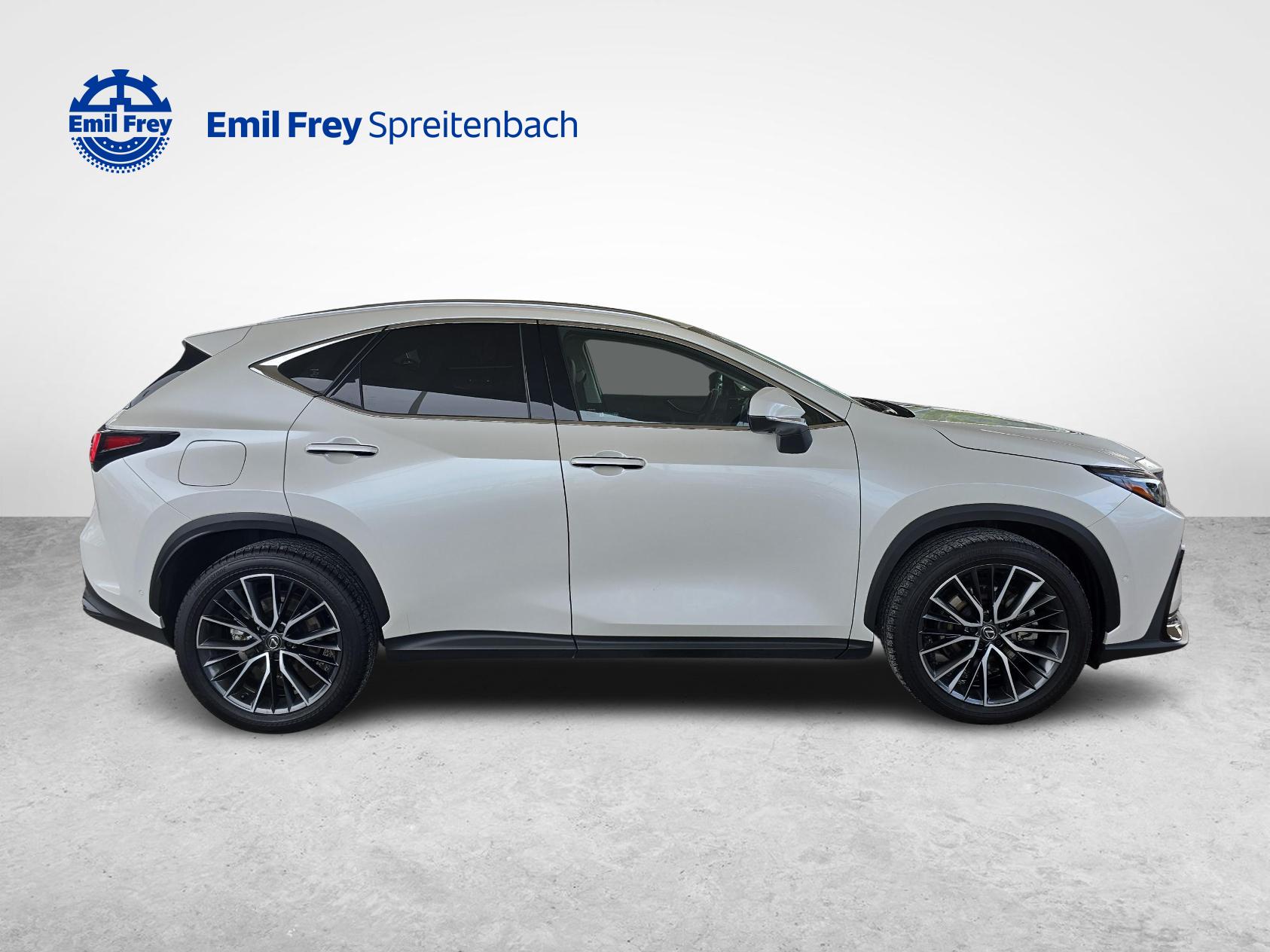 LEXUS NX 450h+ Excellence-image-6