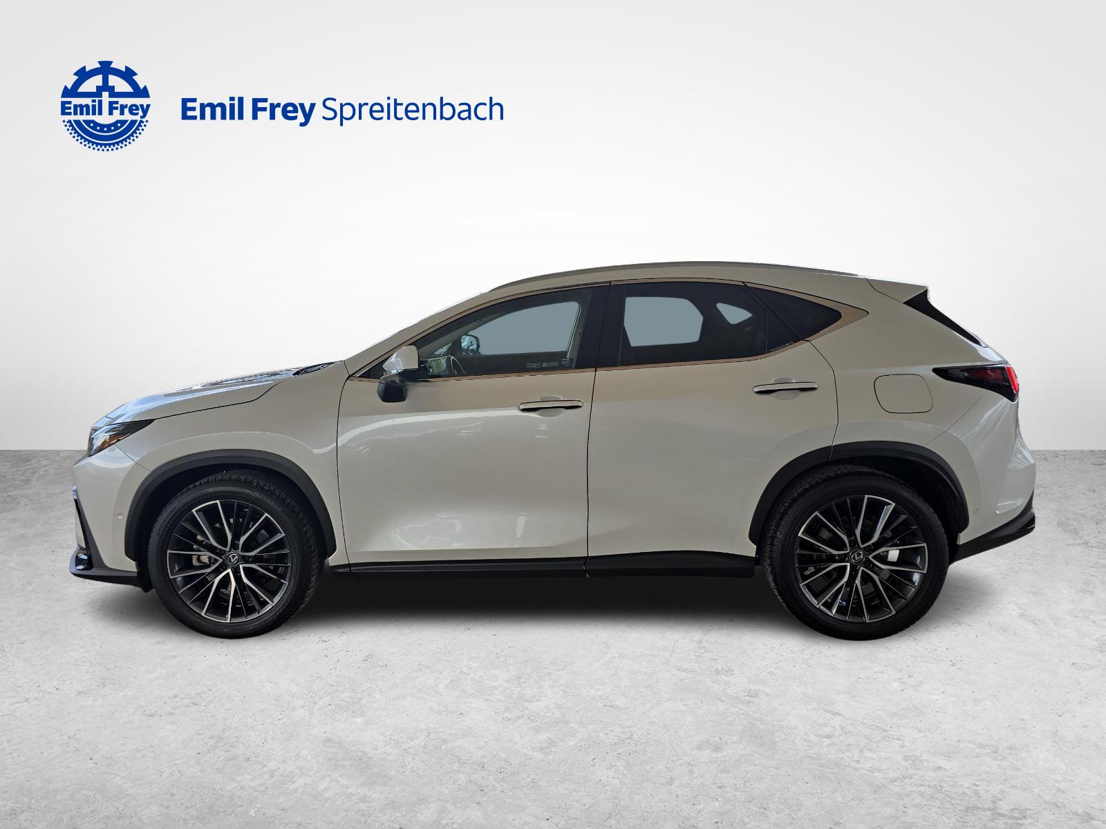 LEXUS NX 450h+ Excellence-showroom-element-2