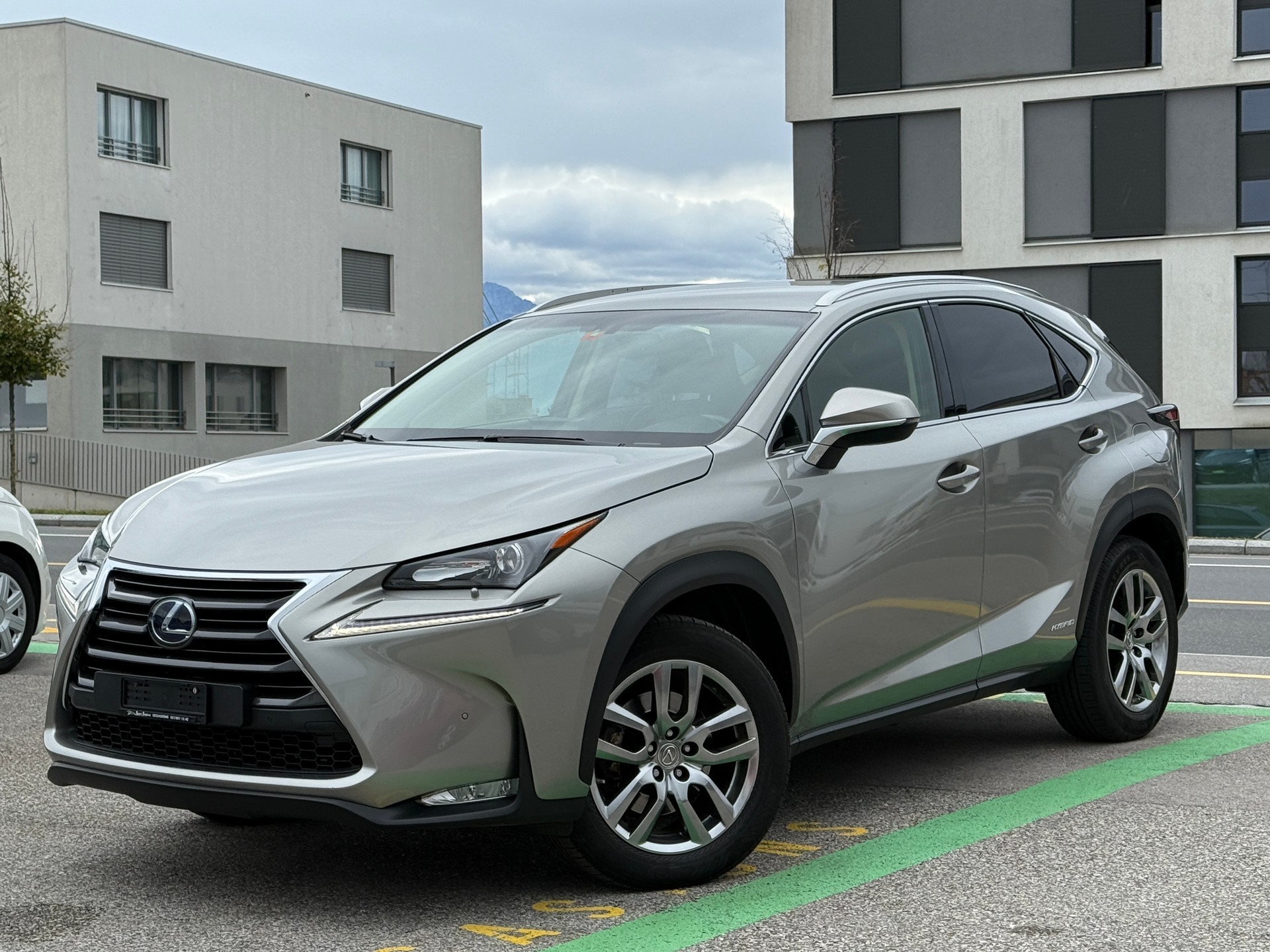 LEXUS NX 300h comfort E-Four Automatic-showroom-element-2