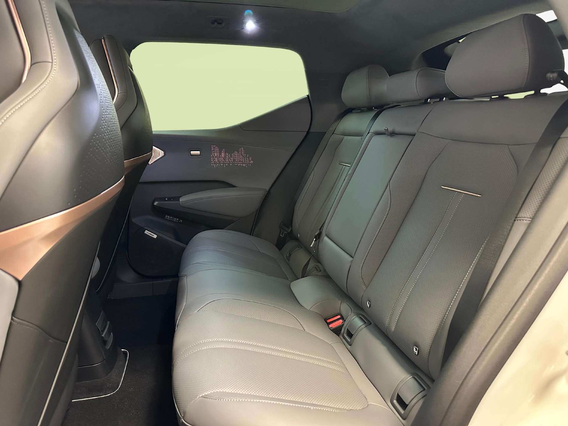 ZEEKR X Privilege AWD-image-7