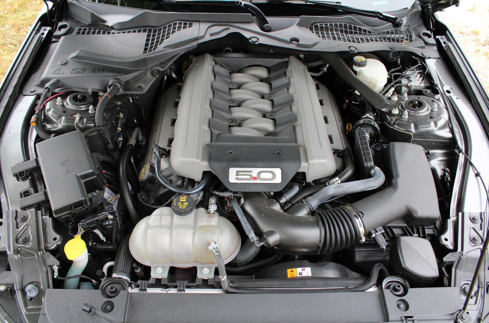 FORD Mustang Fastback 5.0 V8 GT-image-15
