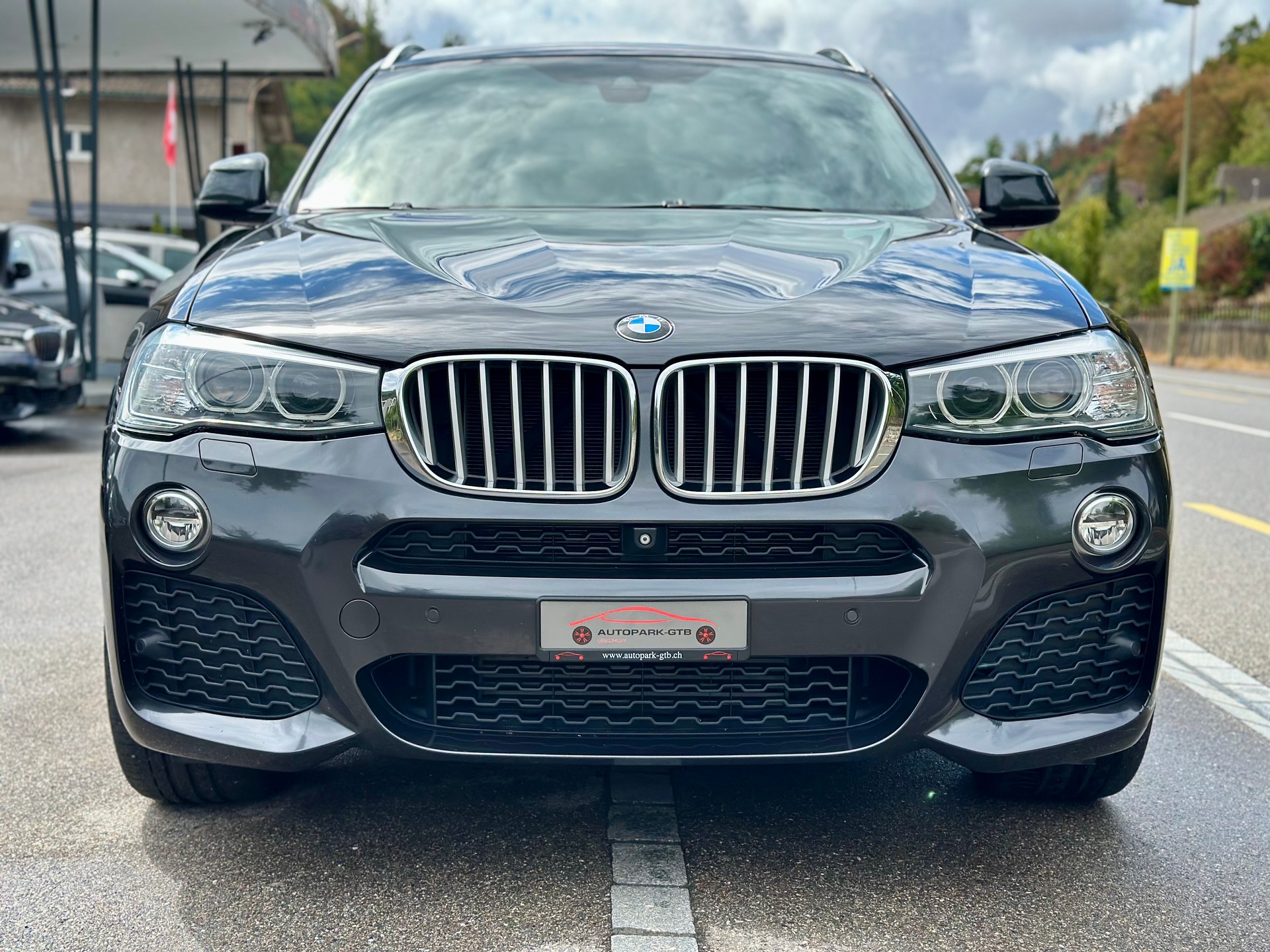 BMW X4 xDrive 28i Steptronic-showroom-element-2