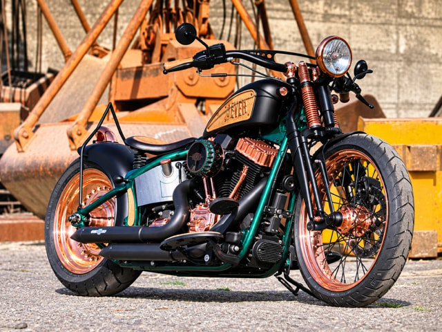 HARLEY-DAVIDSON Blackline Jever Bike-image-1