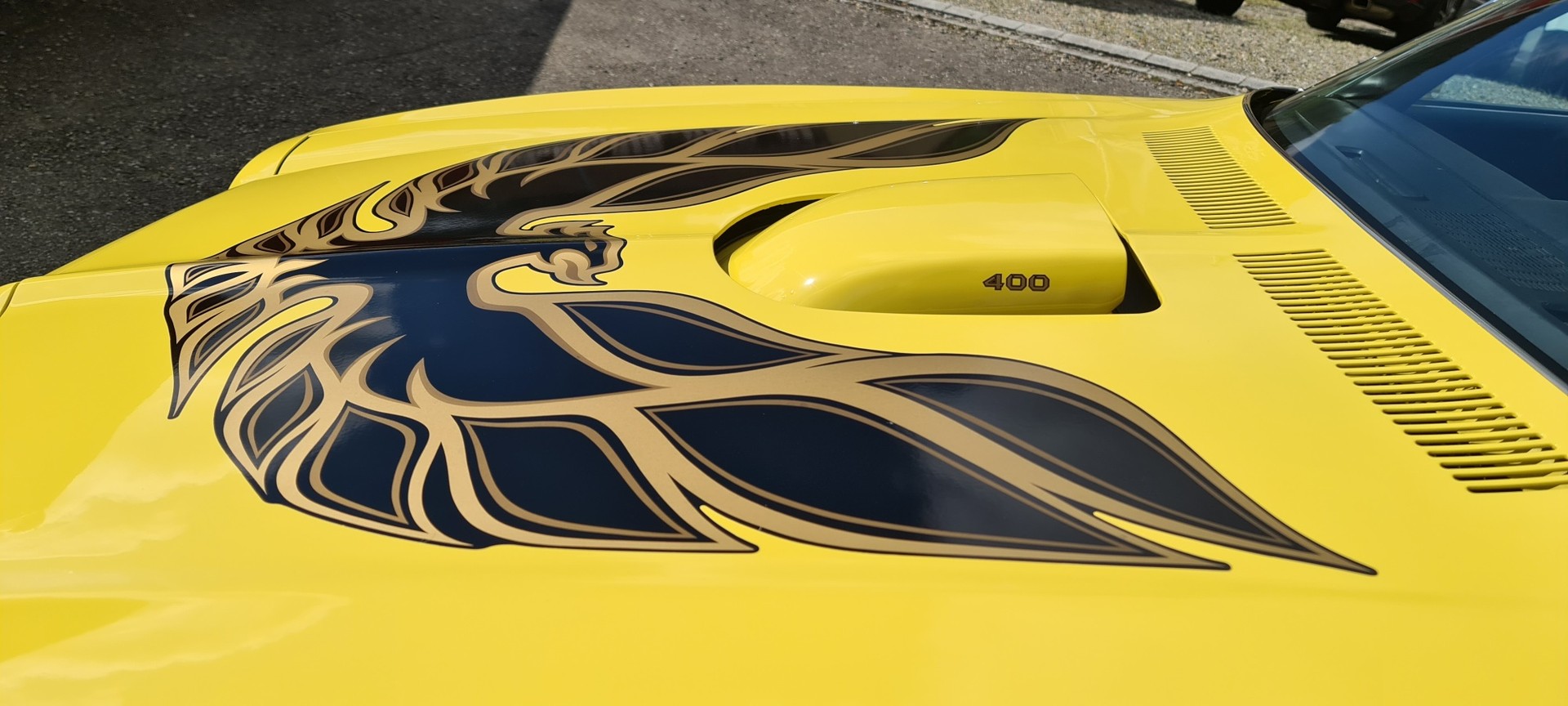 PONTIAC Trans AM 400 6.6 Liter Fisher Body-image-14