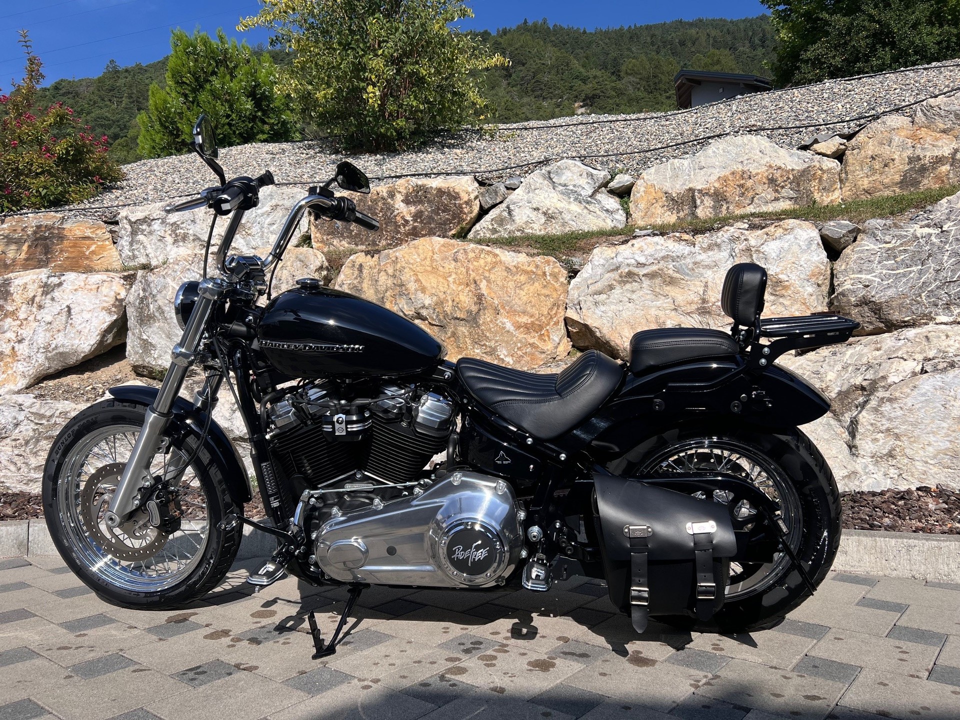 HARLEY-DAVIDSON FXST Softail Standard 107-image-2