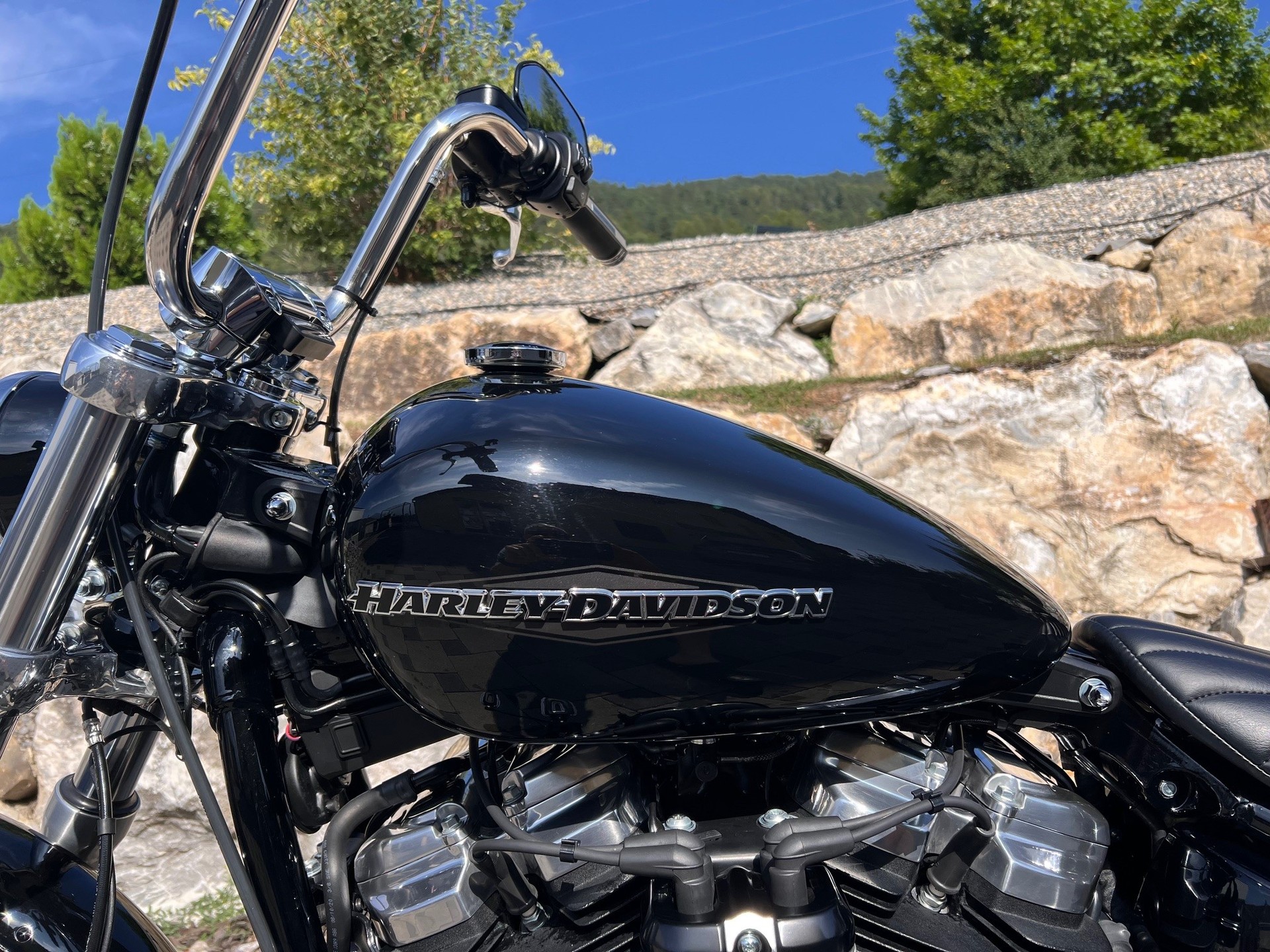 HARLEY-DAVIDSON FXST Softail Standard 107-image-3