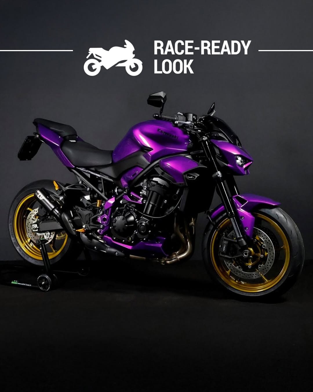 KAWASAKI Z 900 (91/70/35 KW) *Aladin 2* Level 3+-image-13