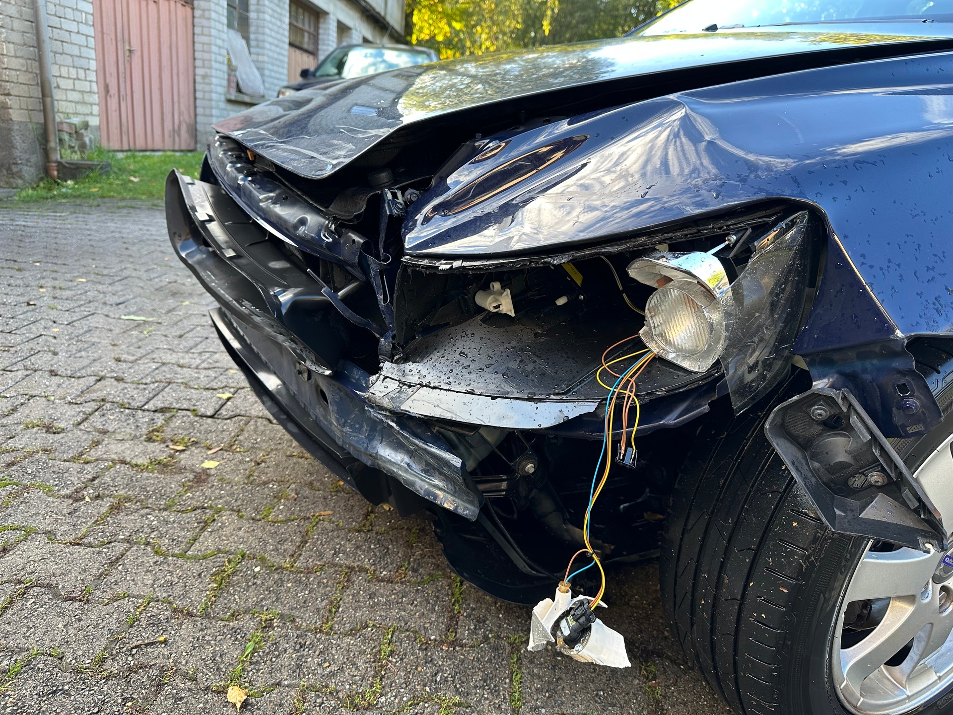 VOLVO V50 1.6 FIXPREIS-image-4