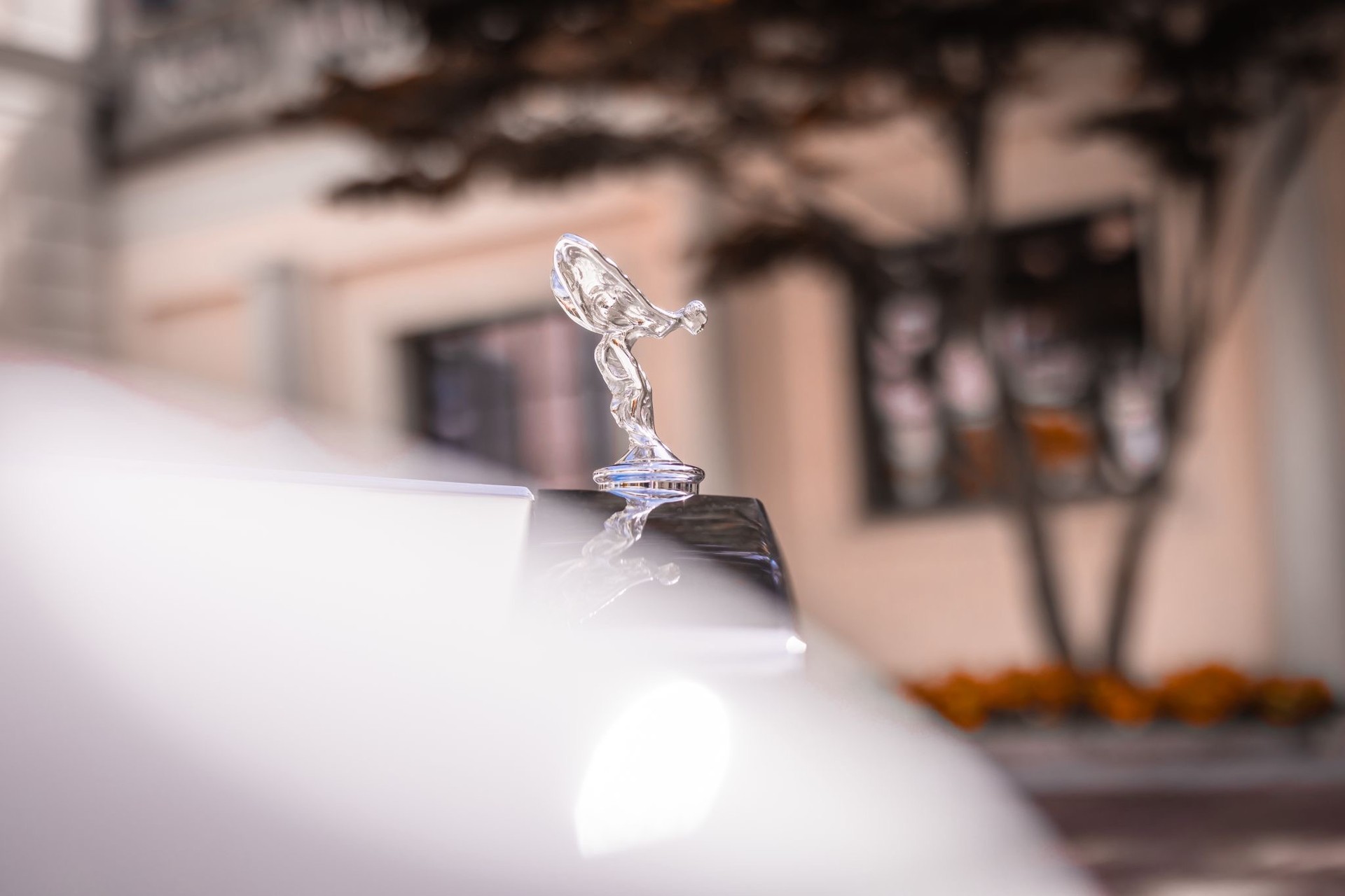 ROLLS-ROYCE CORNICHE-image-1
