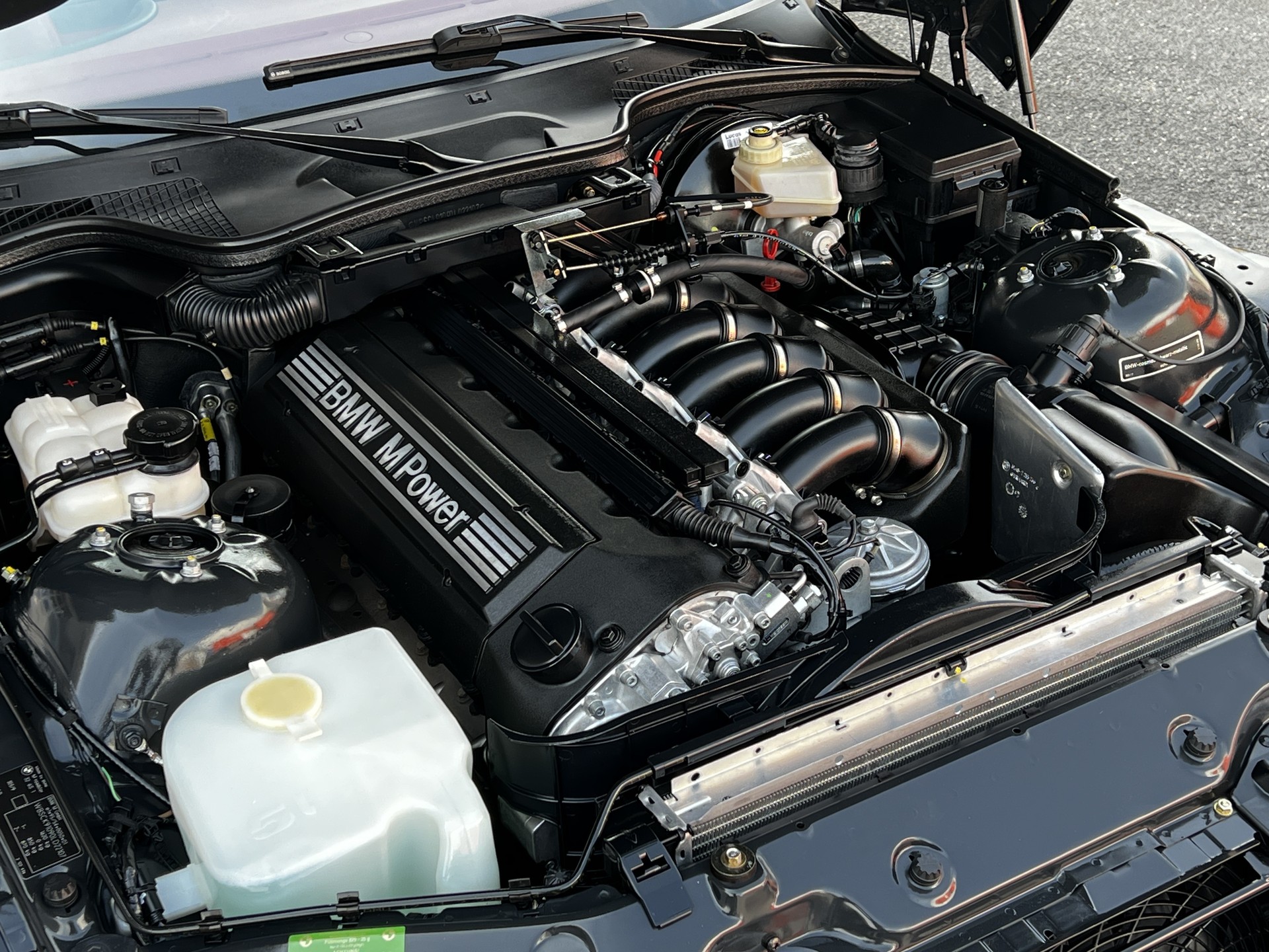 BMW M Roadster-image-13