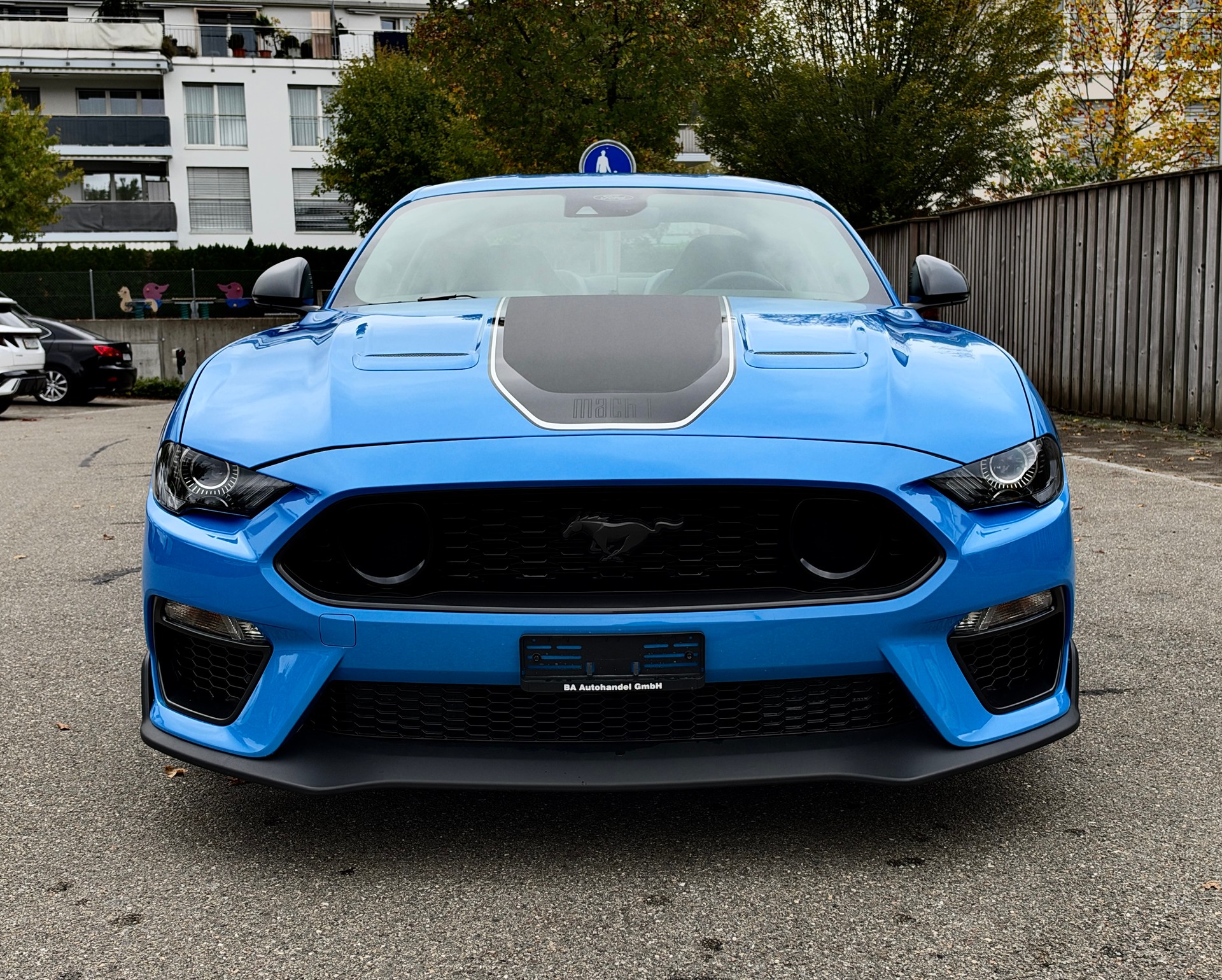 FORD MUSTANG FASTBACK 5.0 V8 MACH 1 AUTOMAT-showroom-element-1