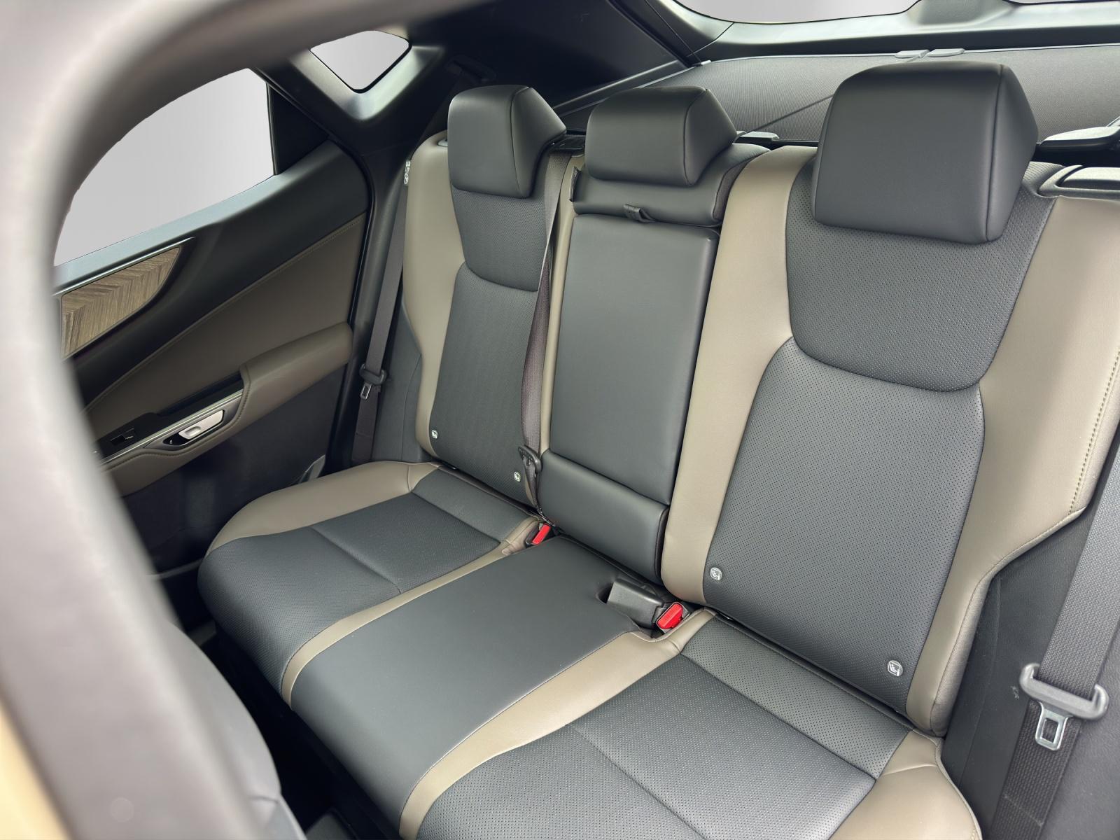 LEXUS NX 450h+ Overtrail-image-10