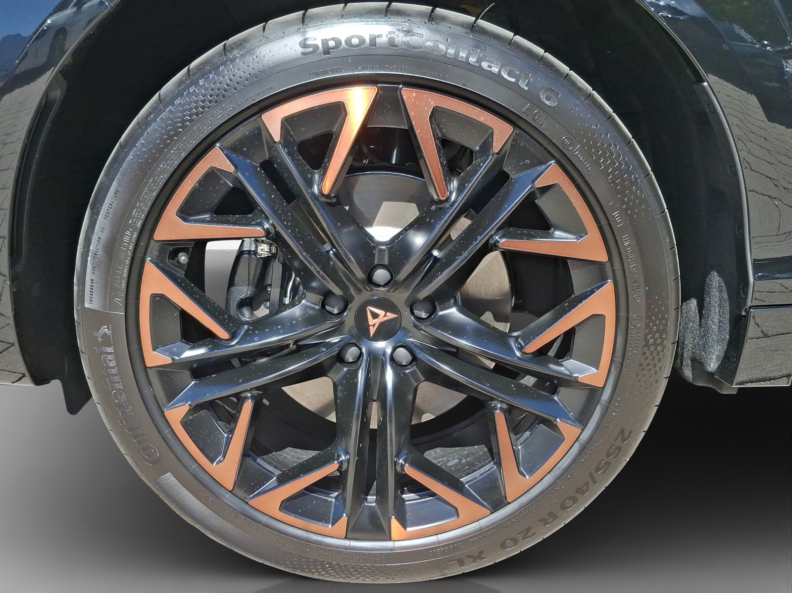 CUPRA Terramar 2.0 TSI DSG 4Drive VZ-image-14