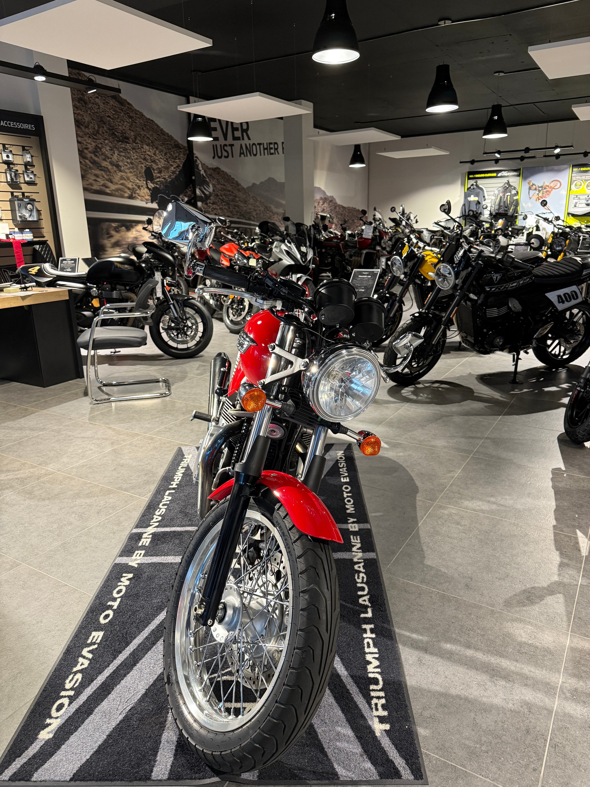 TRIUMPH Thruxton 900 i-showroom-element-3