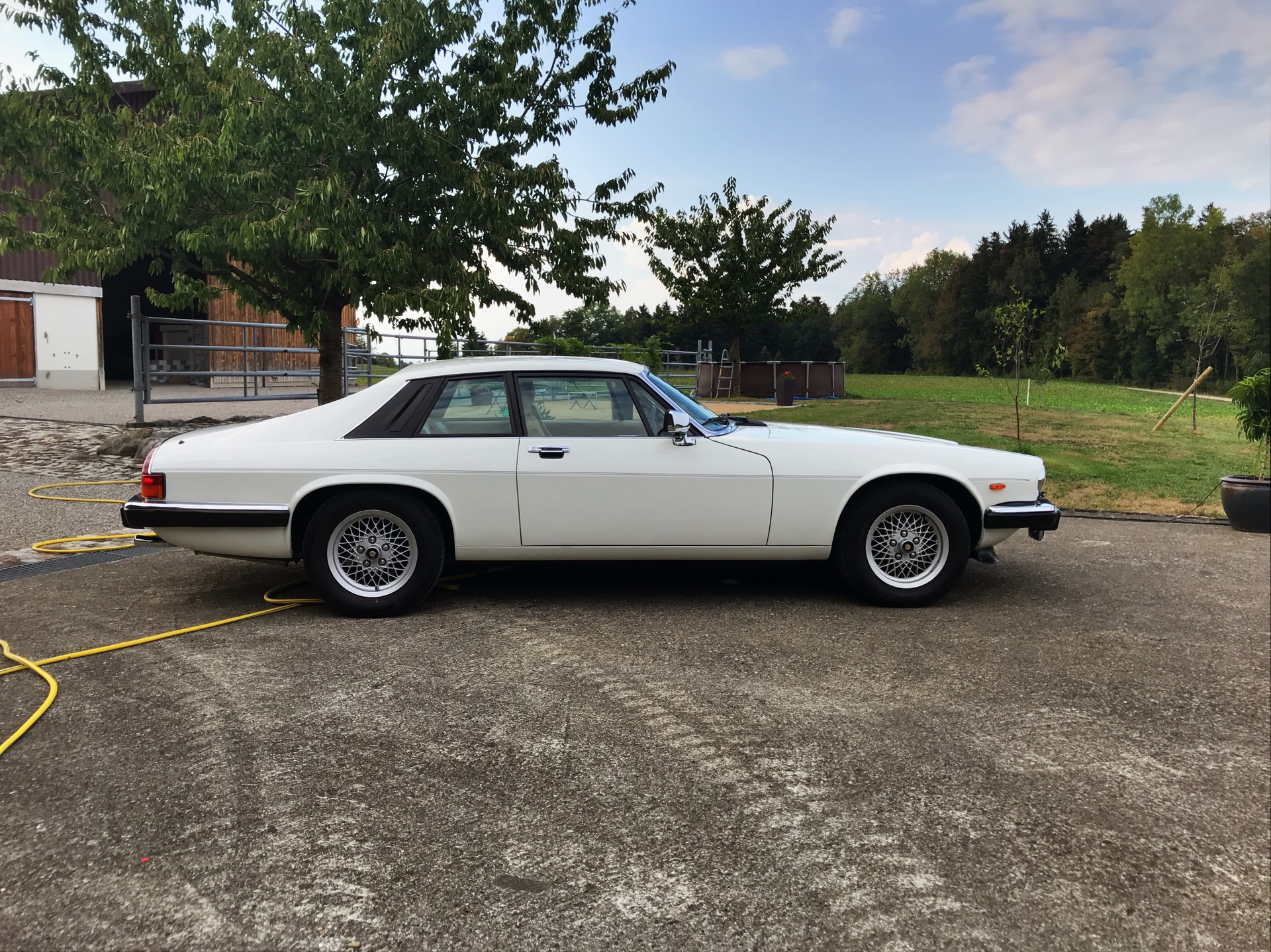 JAGUAR XJS 5.3 V12 ABS-image-3