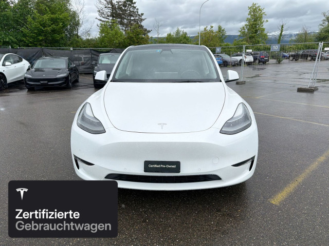 TESLA Model Y Performance-showroom-element-2