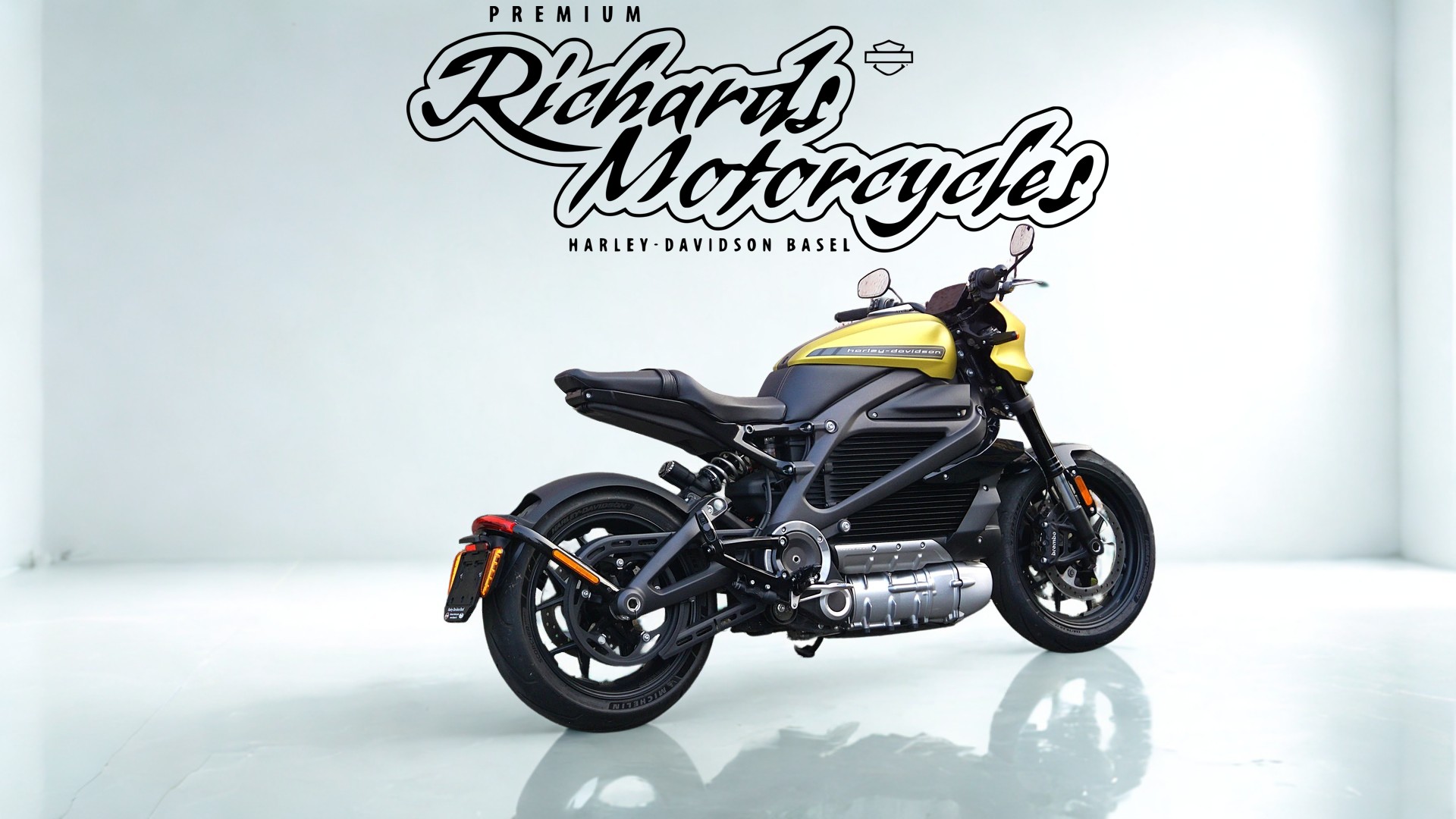 HARLEY-DAVIDSON Live Wire-image-2