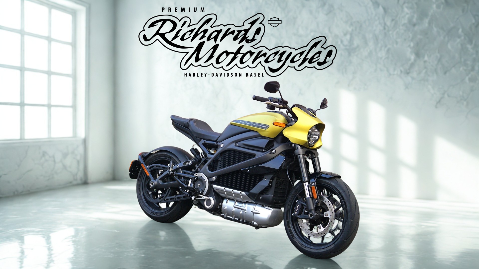 HARLEY-DAVIDSON Live Wire-image-1