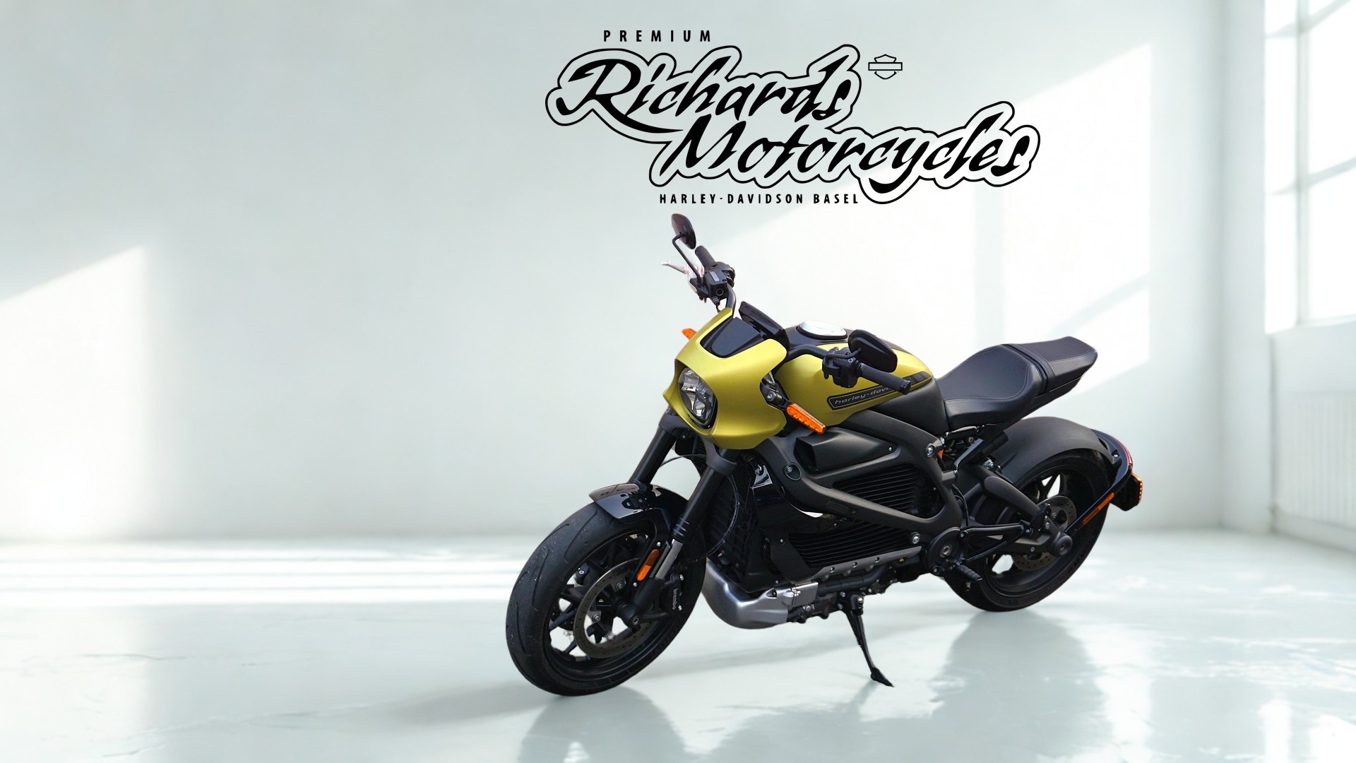 HARLEY-DAVIDSON Live Wire-image-4