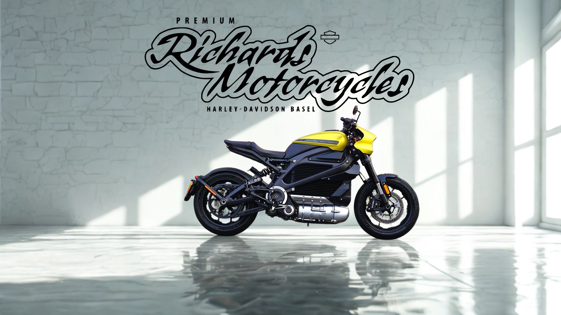 HARLEY-DAVIDSON Live Wire-image-0